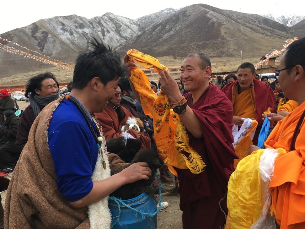 Tibetan villagers receive blessings when they adopt mastiffs. The Gangri Neichog sanctuary for abandoned mastiffs carries out adoption campaigns.
