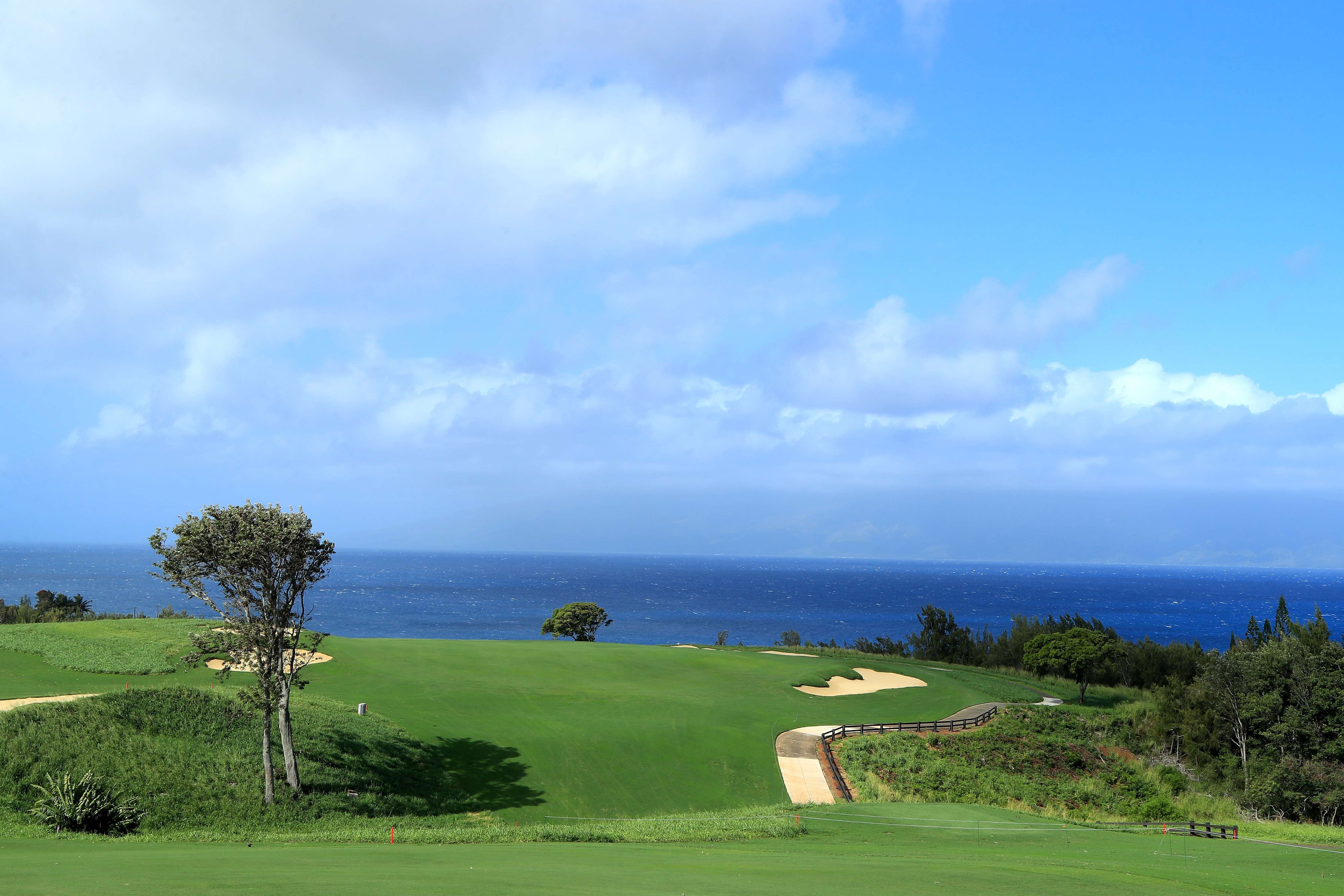 The 12th hole at the Plantation Course at Kapalua Golf Club in Kapalua, Hawaii. Under a three-year plan, Honma is investing heavily in the US to grow its market share to as much as 10 per cent from less than 1 per cent now. Photo: AFP