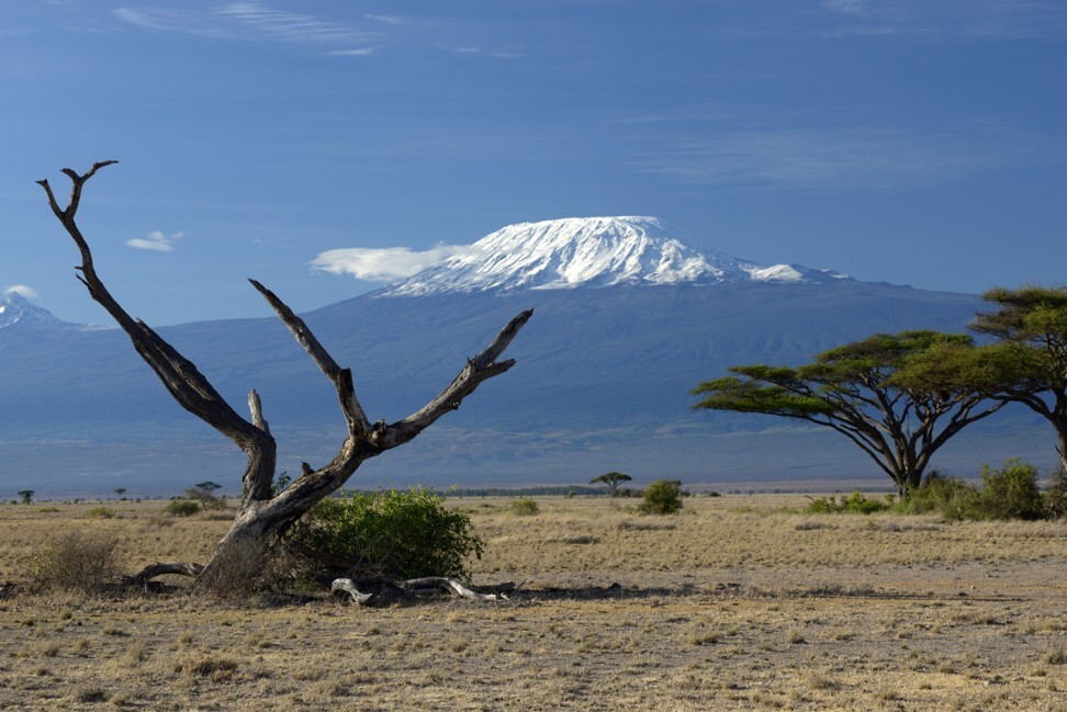 Savannah with Mount Kilimanjaro in the background. Photo: SCMP Pictures