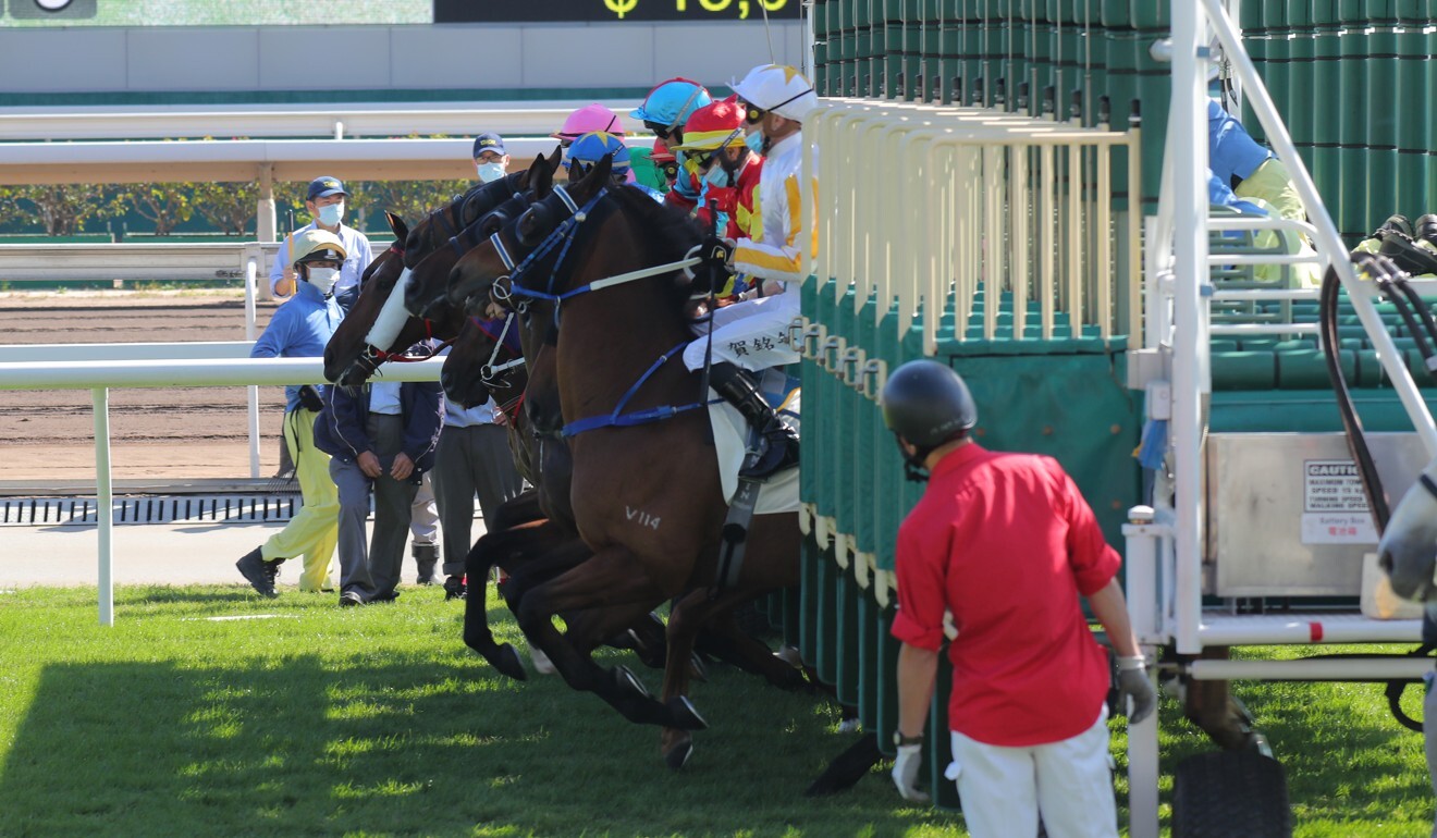 Horses jump from the gates at Sha Tin on Saturday.