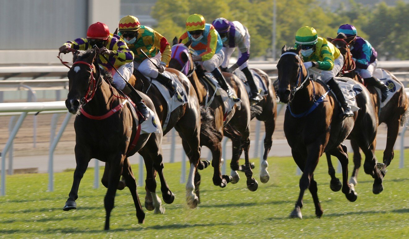 Champion's Way (left) beats home Sky Darci (right).