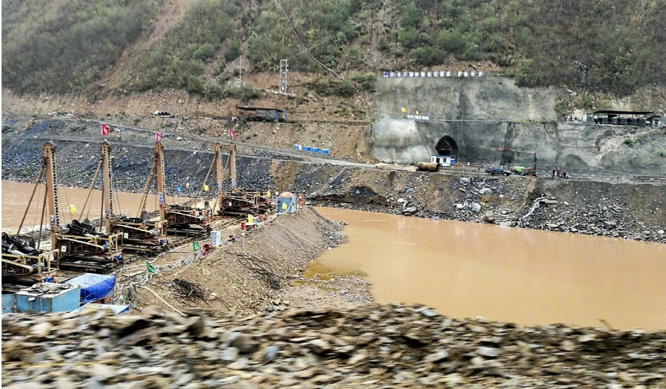 Court reprieve for China’s rare green peafowl but it’s not out of the ...
