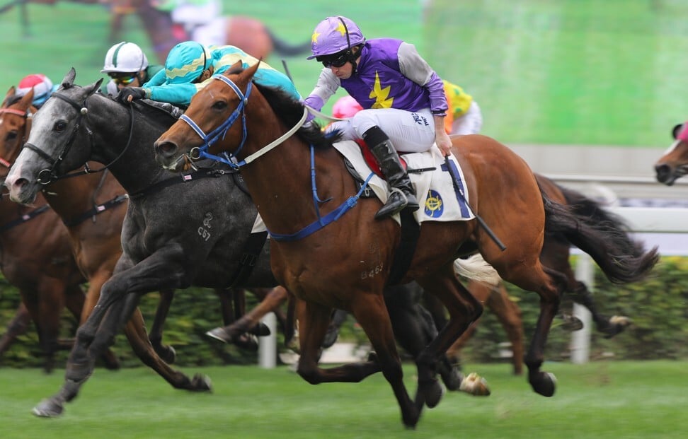 Charizard hits the line to win under Ryan Moore in 2019. Charizard hits the line to win under Ryan Moore in 2019.