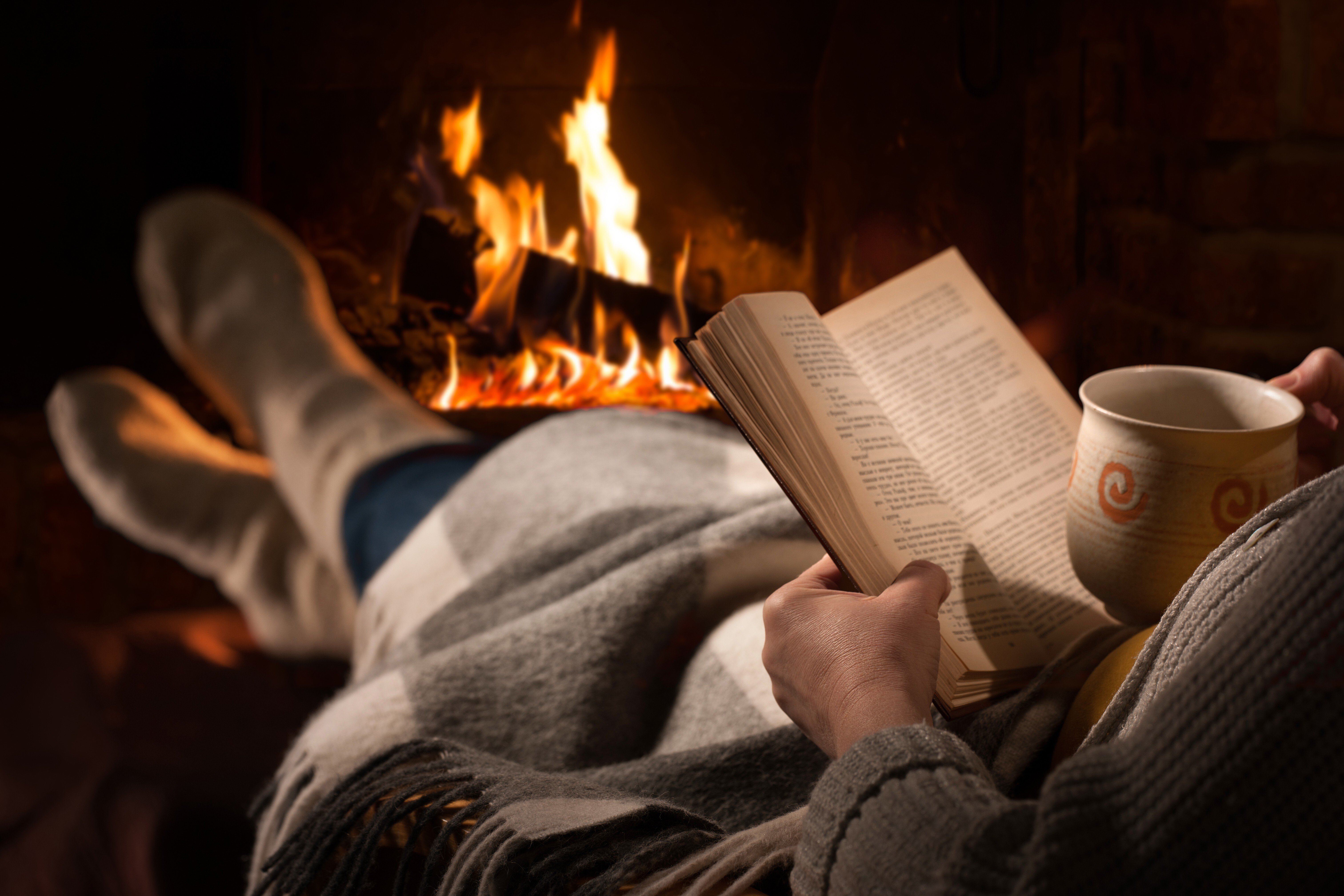 Load up Netflix' Fireplace, make a cup of cocoa, and snuggle up with one of these great reads