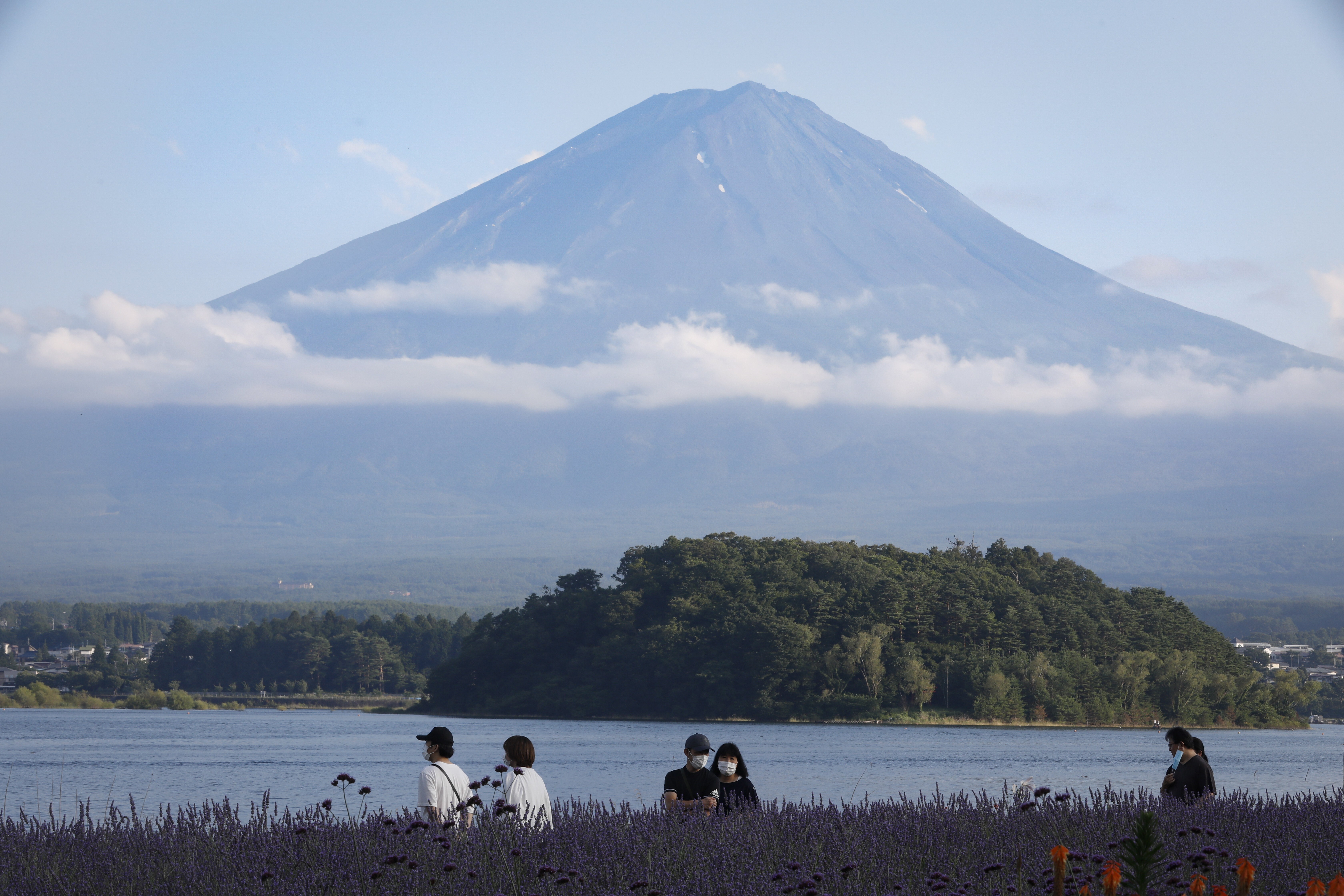 When Green Isn T Good Mount Fuji S Reforestation Linked To Global Warming South China Morning Post