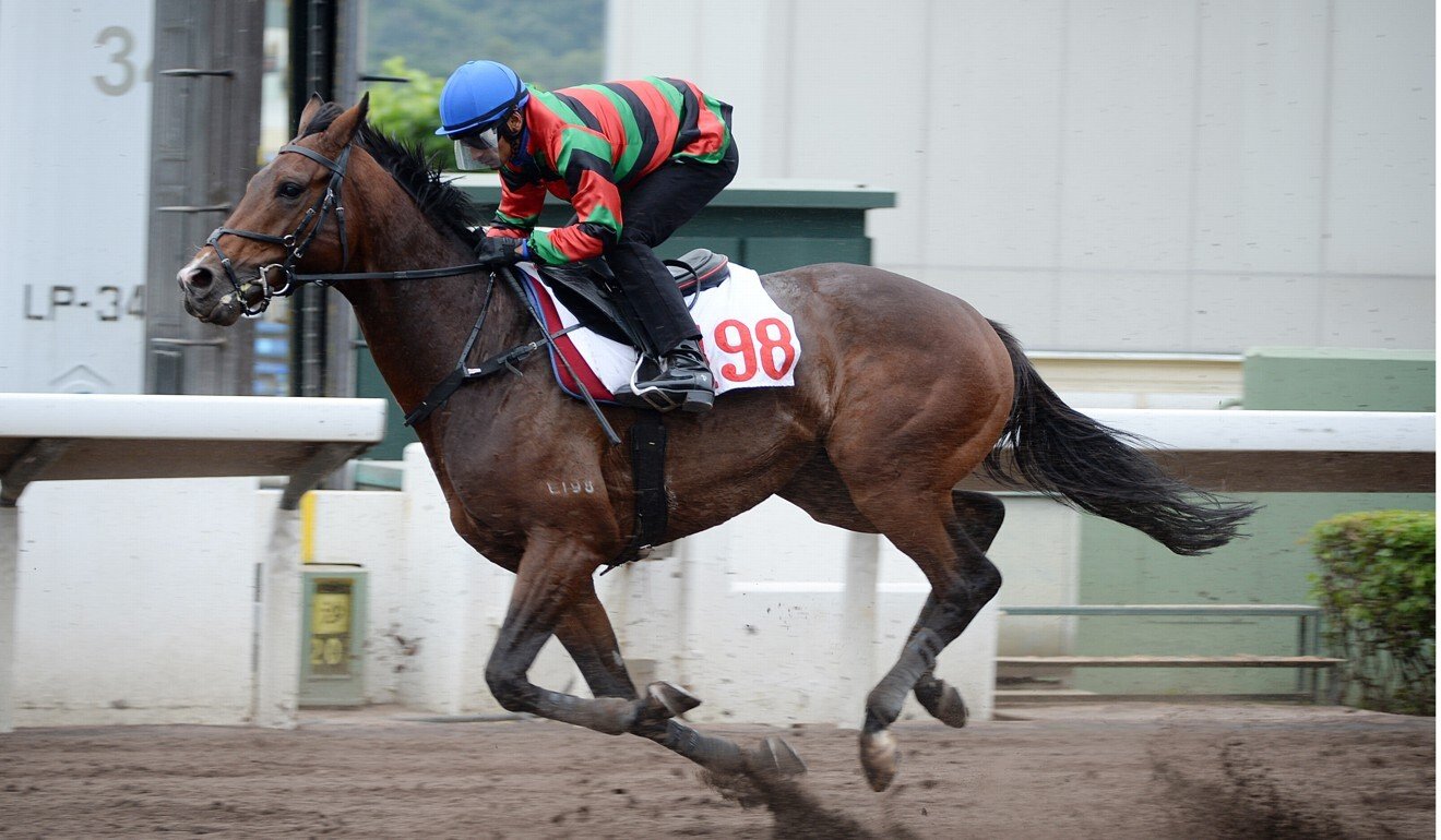 Russian Emperor trials at Sha Tin in November.