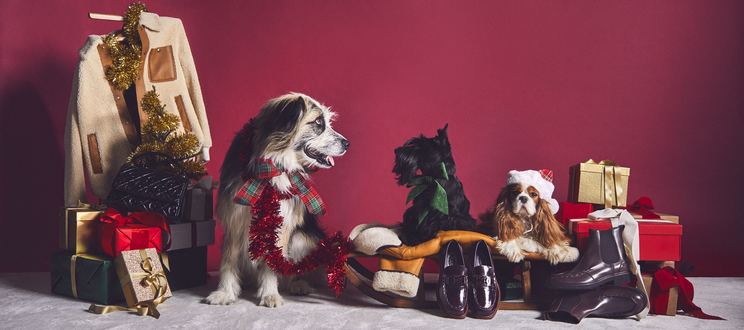 China’s dog owners are increasingly likely to spend money on special gifts and products for their pets. Photo: Tod's