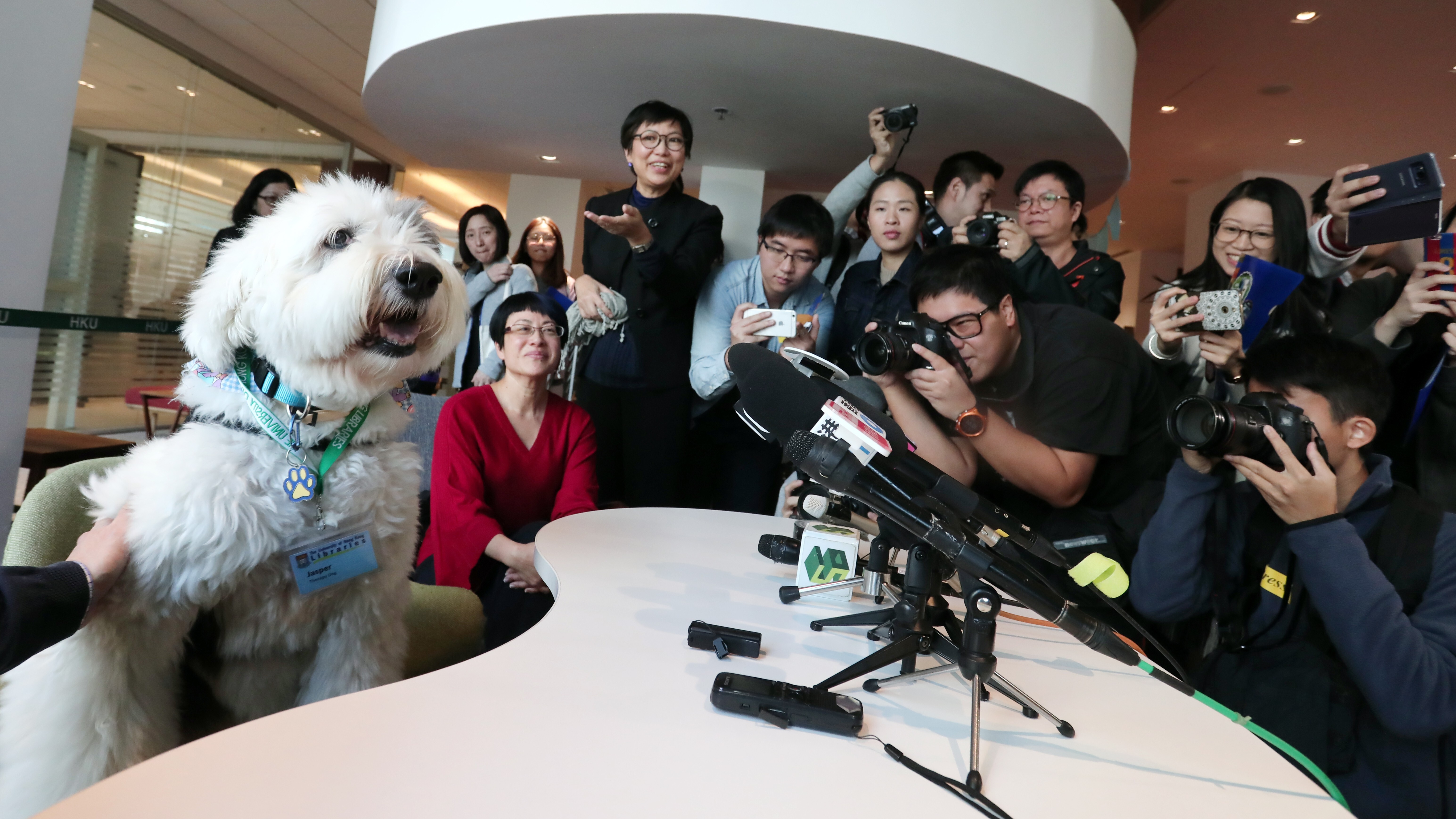 Jasper brought smiles to many faces during his time at HKU. Photo: SCMP/ Jonathan Wong