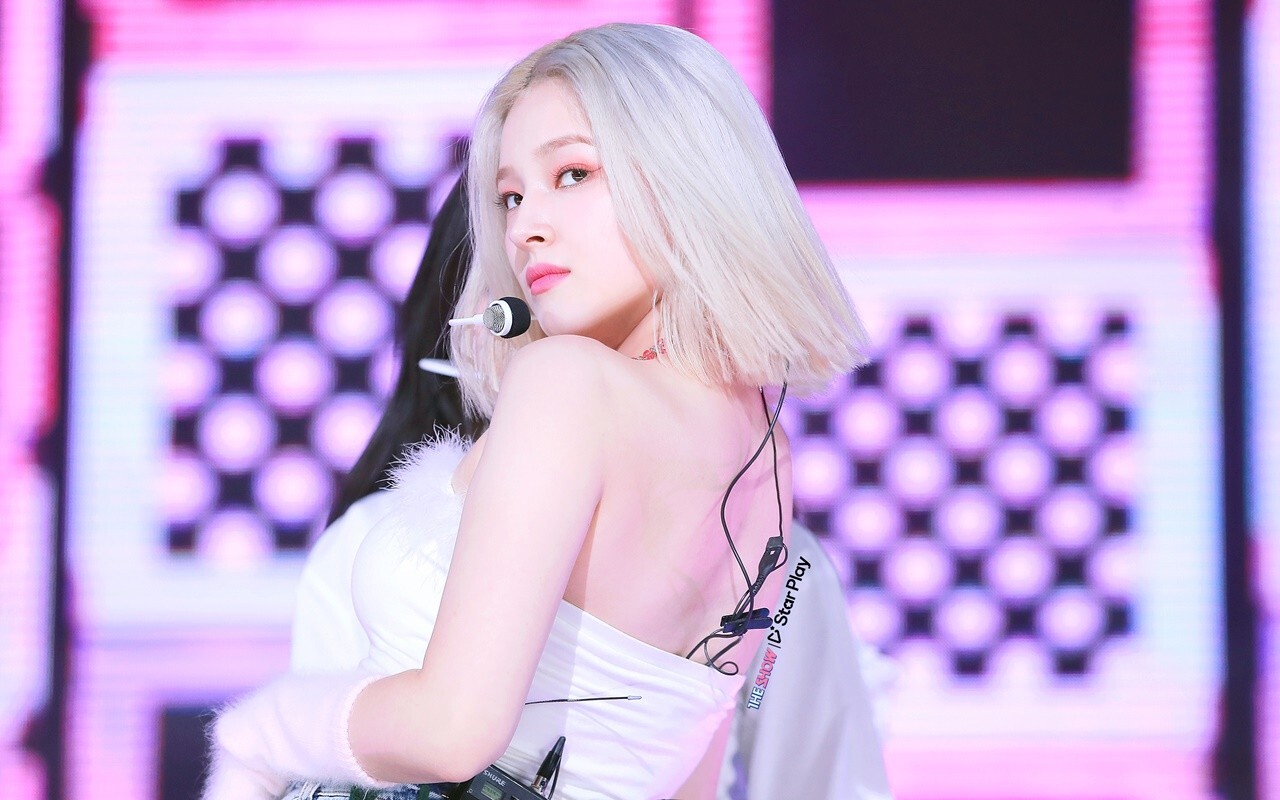 Nancy momoland sexs