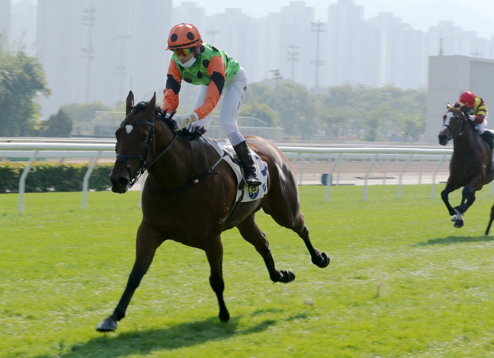 Carroll Street cruises to victory at Sha Tin on debut under Jerry Chau.