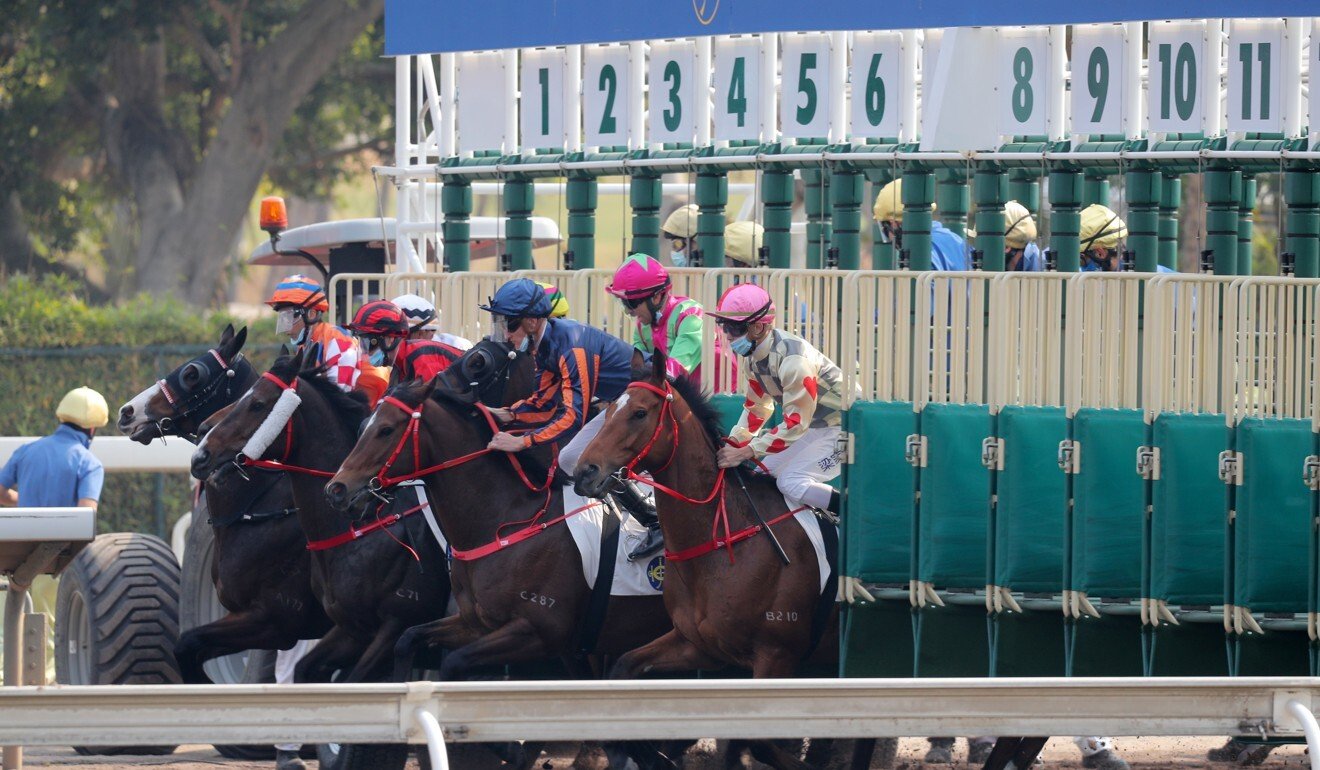 Horses jump in the Class One all-weather feature at Sha Tin.