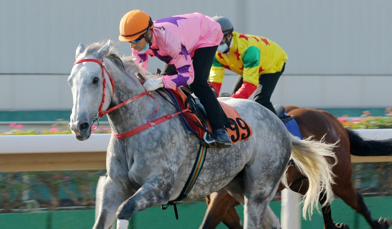 Joao Moreira trials Hot King Prawn at Sha Tin last month.