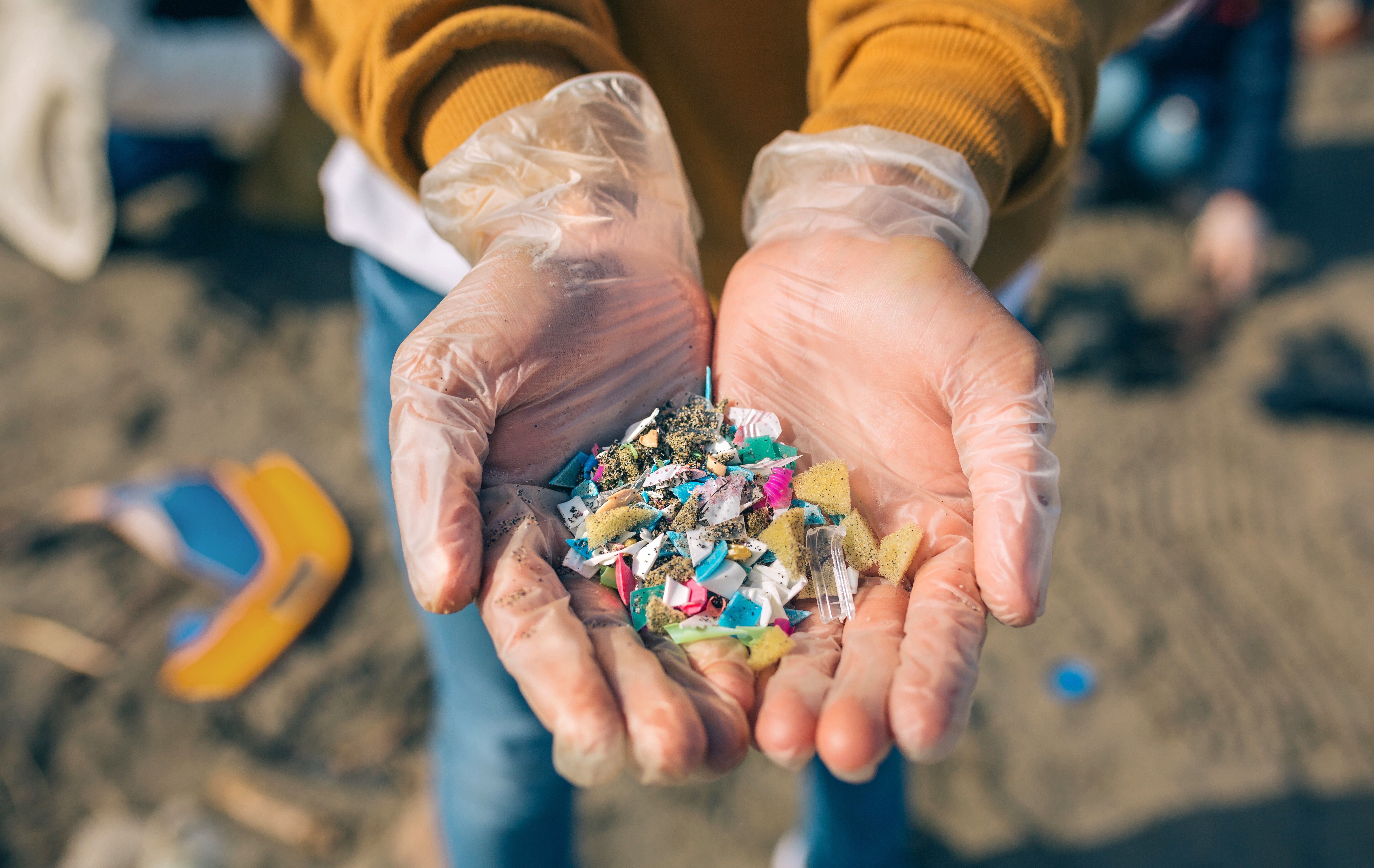 Plastic bottles, bags, wrapping and packaging wash up daily on our beaches. Over time, these plastics disintegrate and can enter our ecosystem. Photo: Shutterstock
