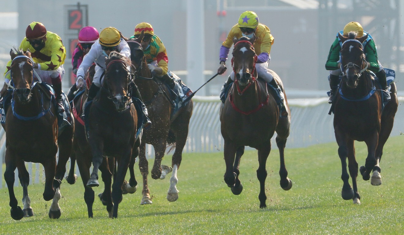 Christophe Soumillon might extend his stay to partner Rise High (right) in the Gold Cup.