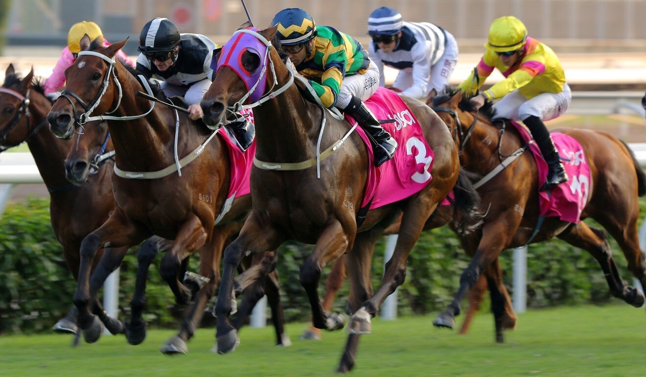 Furore (outside) gets the better of Exulant (inside) in November’s Sa Sa Ladies' Purse.