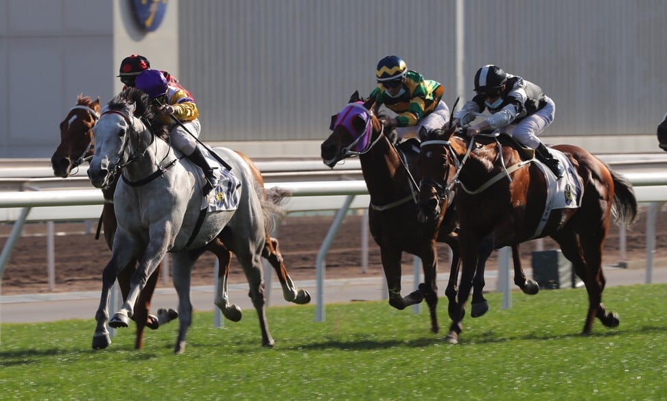Matthew Poon punches out Glorious Dragon to beat home Exultant (right) and Furore (middle).
