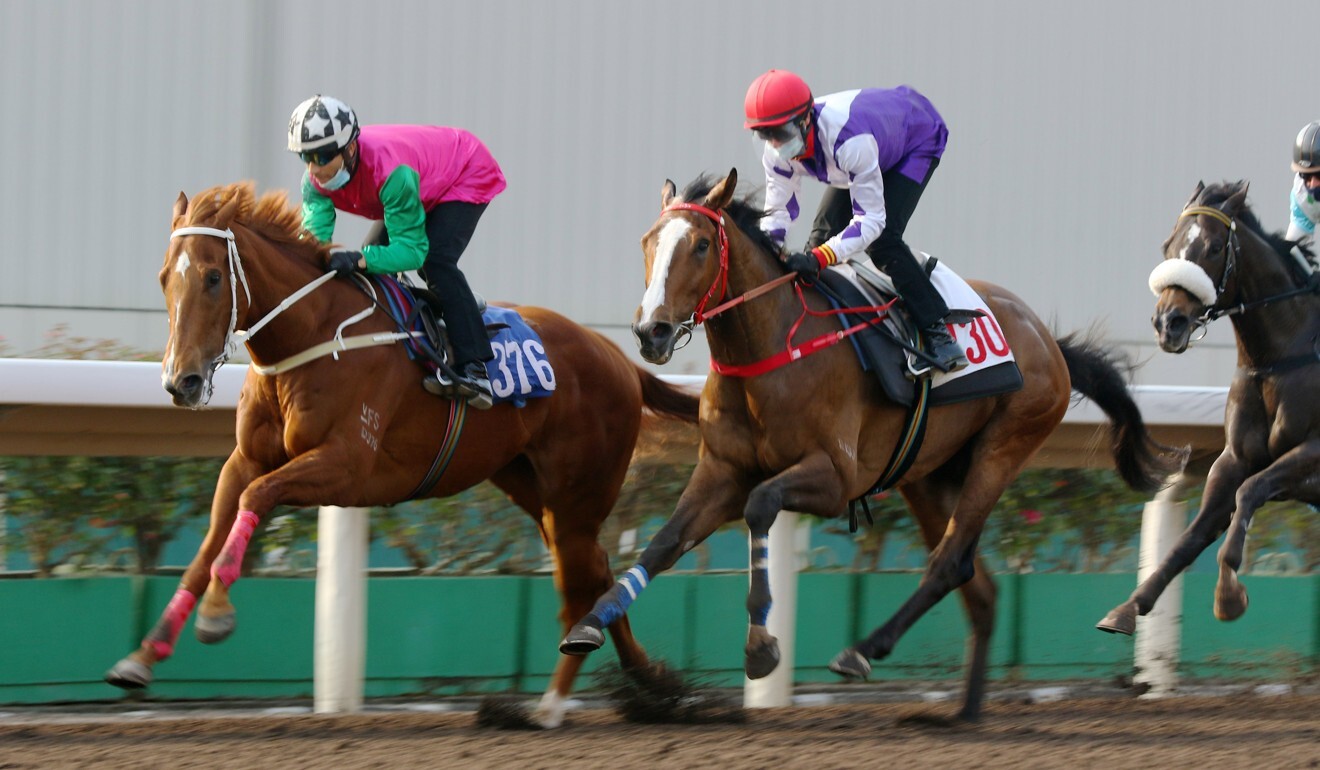 Joyful Fortune strides out under Joao Moreira during a barrier trial last month.