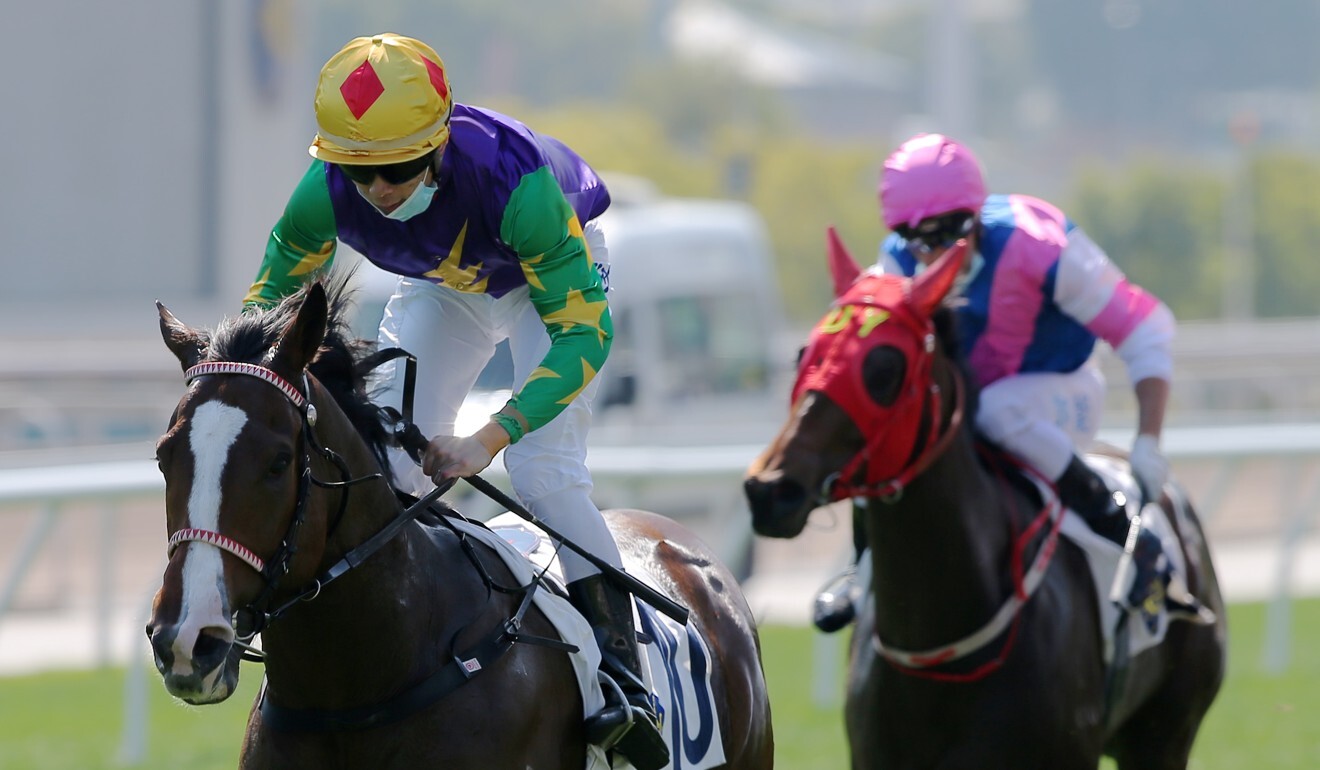 Pleasant Endeavor salutes at Sha Tin.