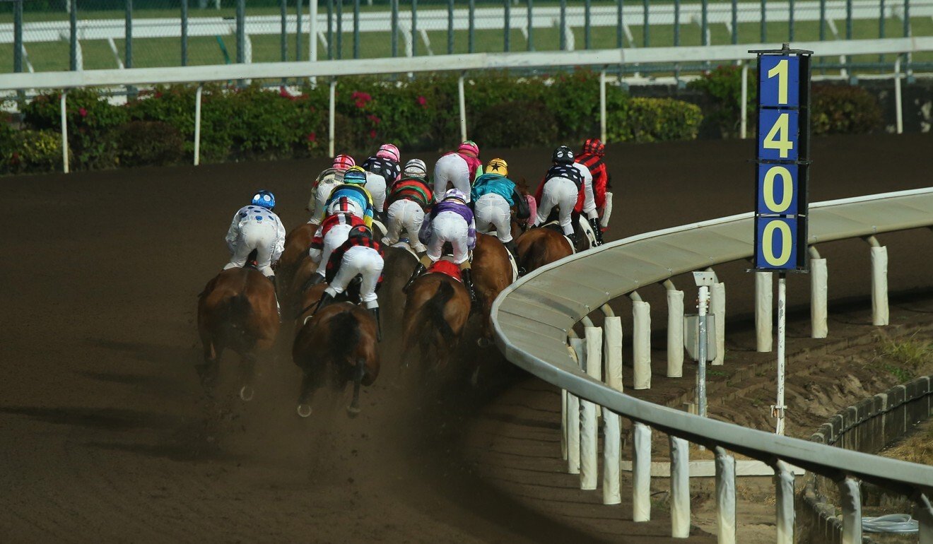 Horses race on the dirt at Sha Tin.