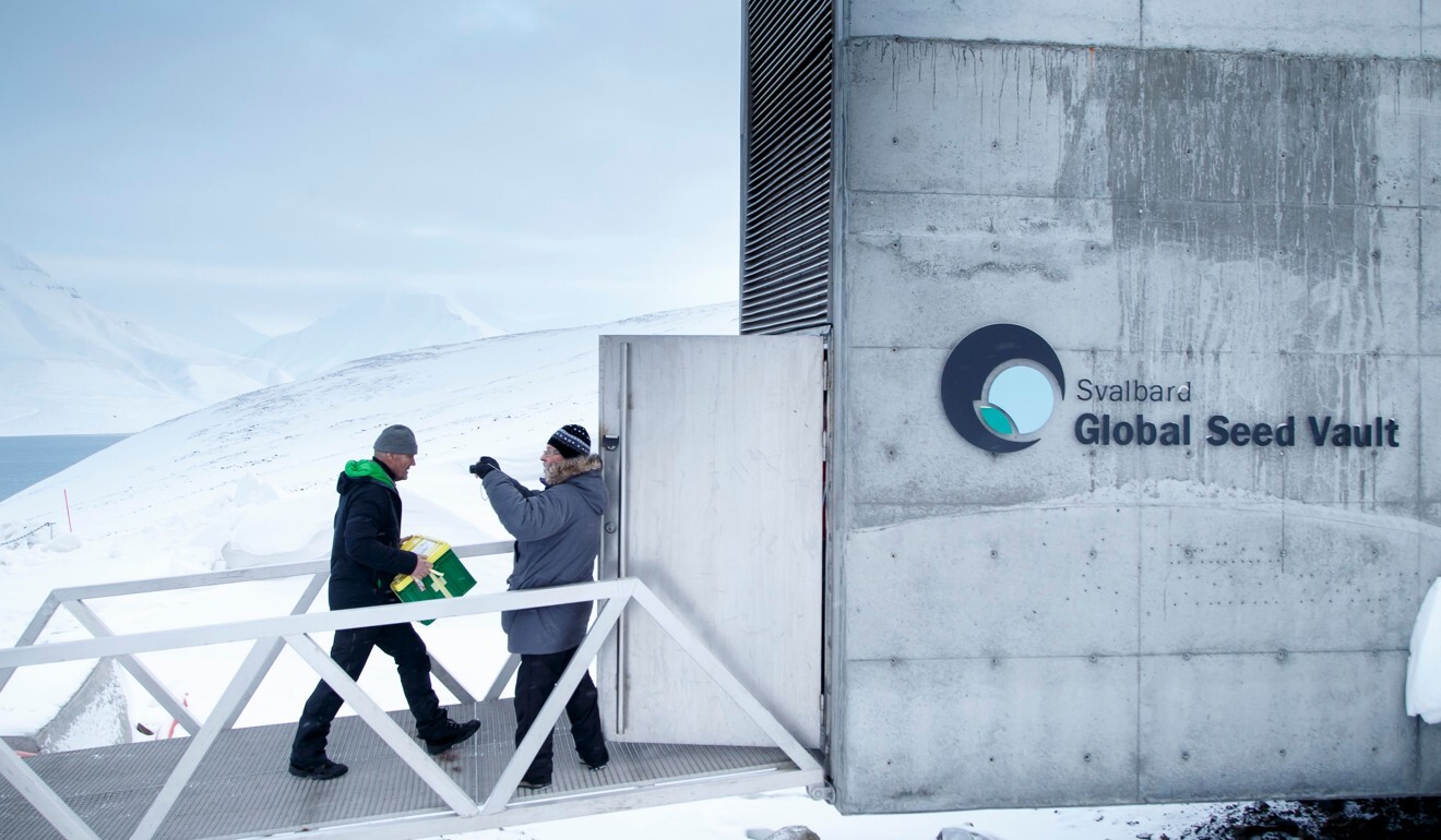 A man carries a box of seeds from Japan and the US into the Svalbard Global Seed Vault in March 2016. Photo: AFP