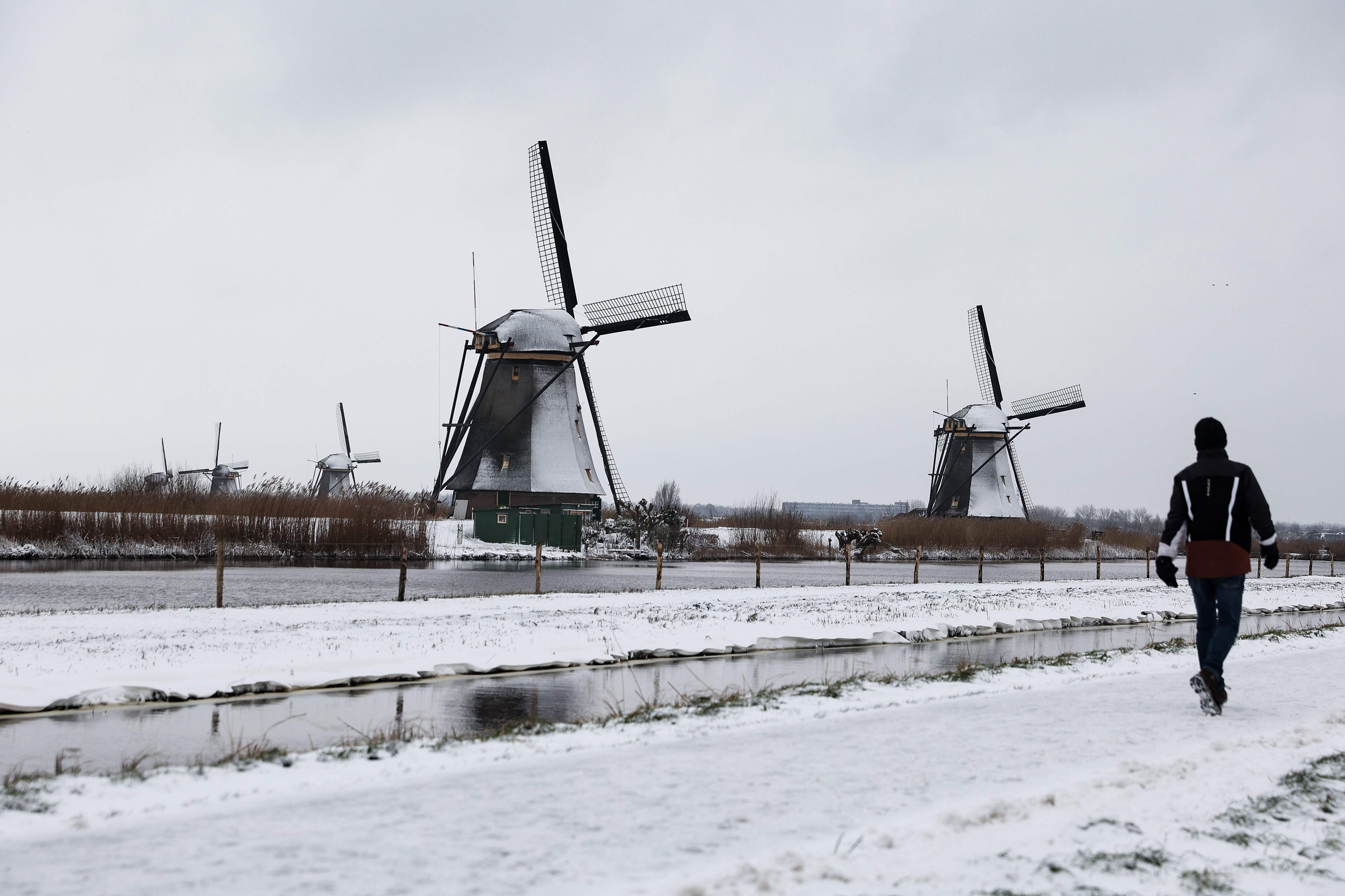 Snow blankets a field as a man walks past windmills in the village of Kinderdijk, Netherlands on Sunday. Photo: AFP