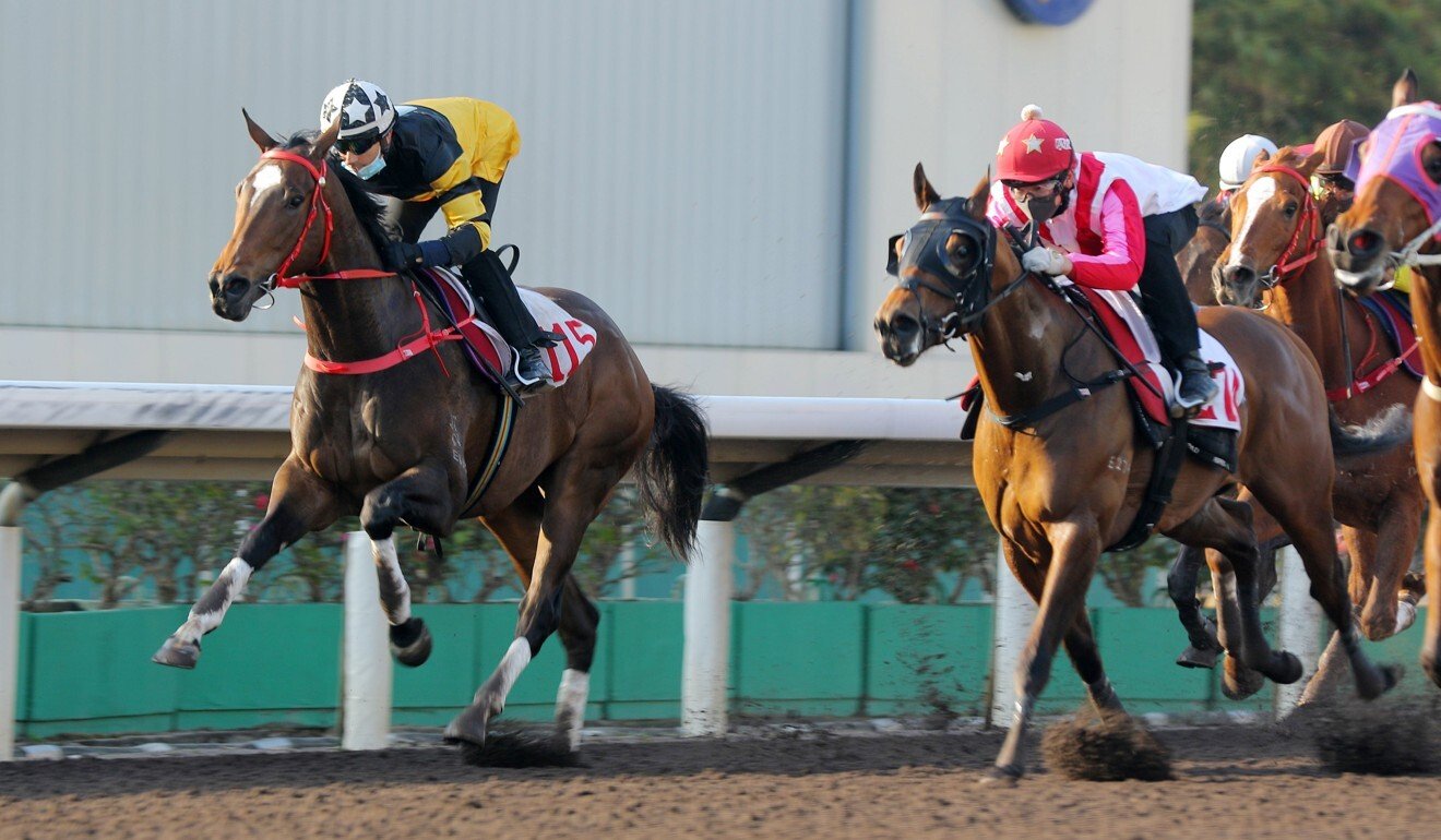 Congratulation (right) trials at Sha Tin ahead of his debut on Sunday.