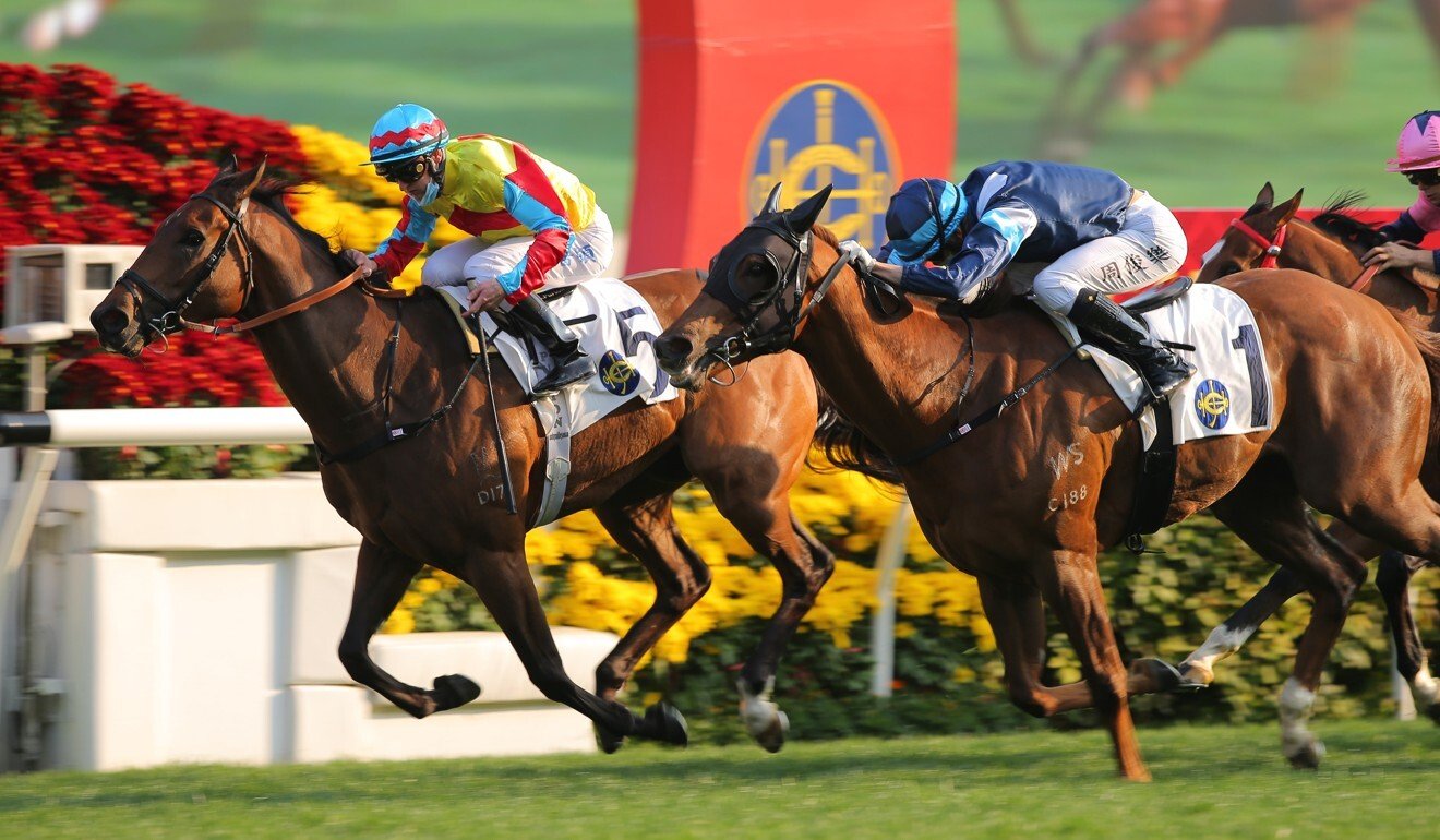 Jerry Chau (right) is nosed out aboard Duke Wai at Sha Tin on Sunday. Photo: Kenneth Chan