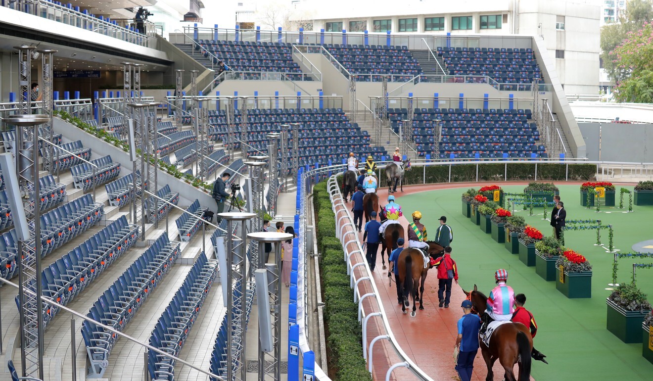 Horses parade at Sha Tin on Sunday. Photo: Kenneth Chan