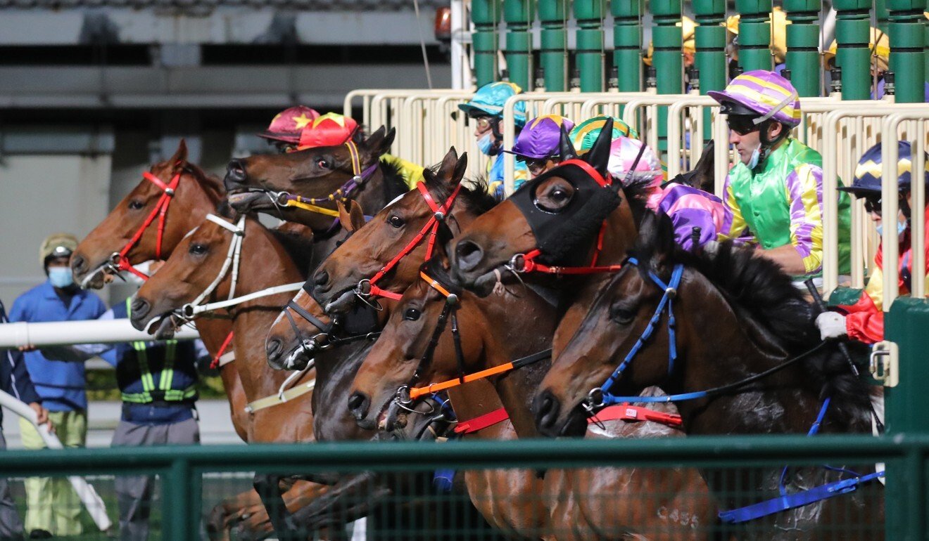 Horses jump from the gates at Sha Tin.