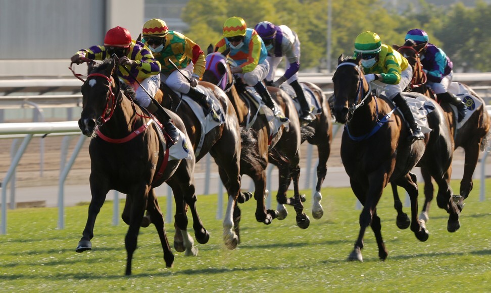 Sky Darci (outside) attempts to chase down Champion’s Way (left) earlier in the season.