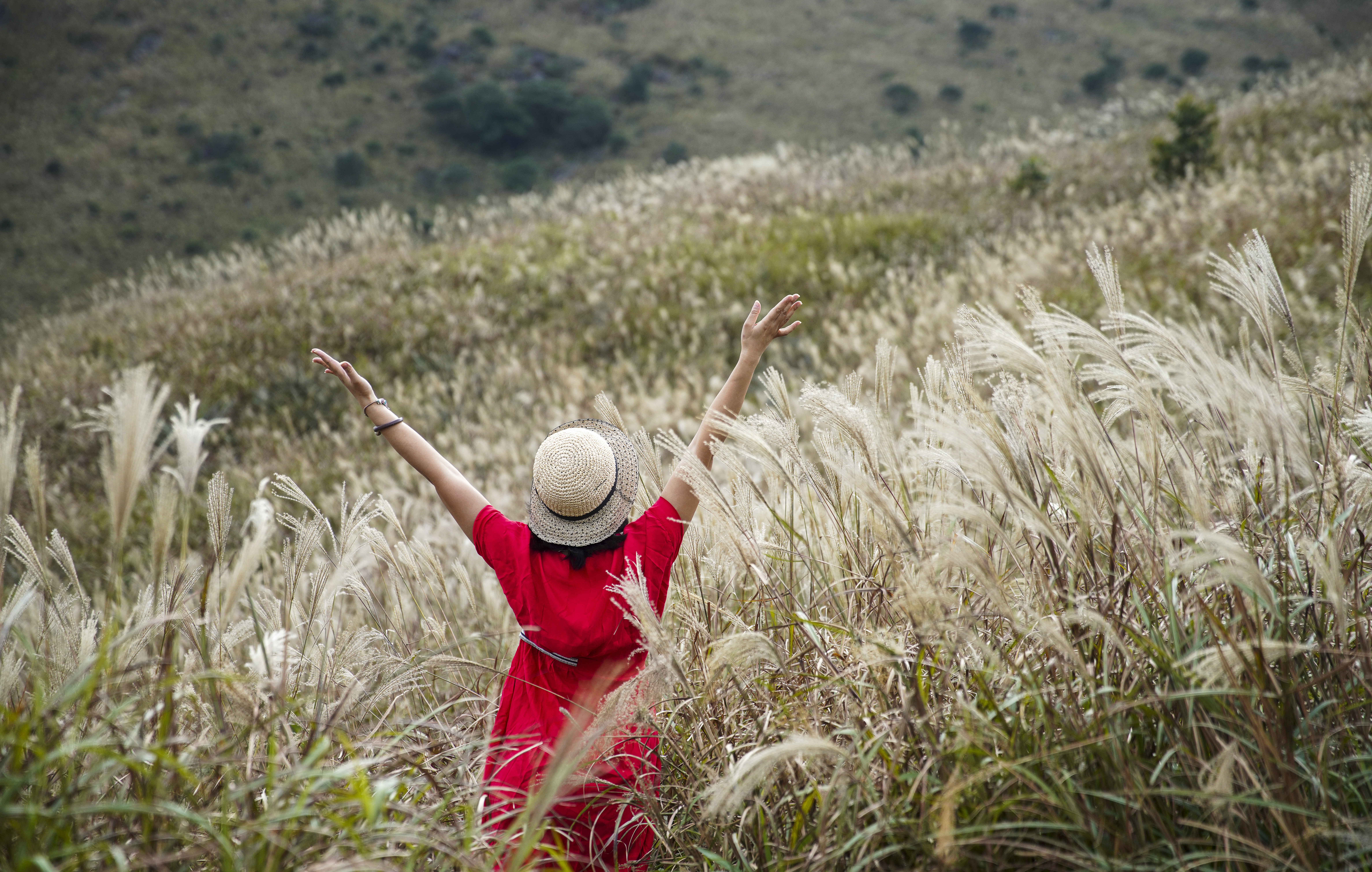 A woman poses for a photograph amid a sea of silver grass at Sunset Peak, Lantau, in November 2020. Financial Secretary Paul Chan wrote on his blog with reference to the upcoming budget: “No matter if it’s just a small blade of grass or a tall tree, they both start from a tiny seed – but one that keeps its infinite vitality hidden.” Photo: Winson Wong