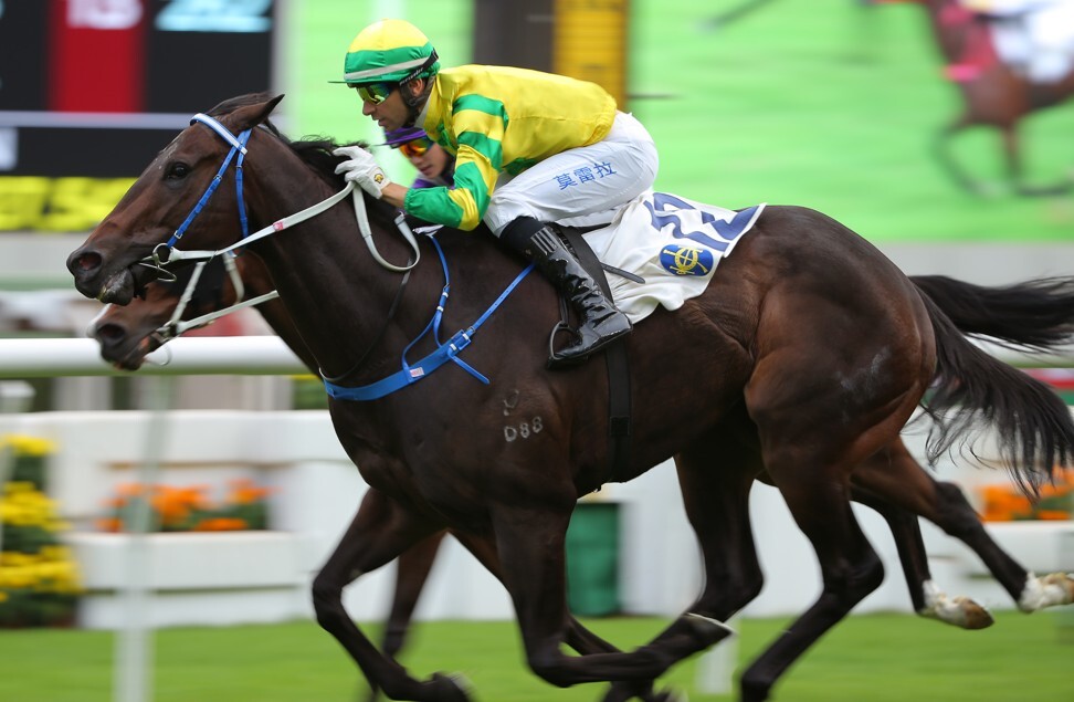 Joao Moreira wins aboard Sky Darci earlier this season.