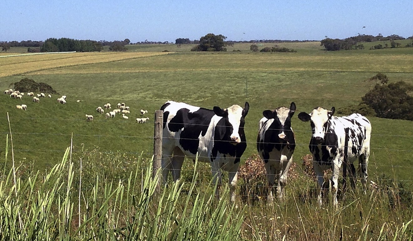 U.S. sees spike in contaminated Australian meat shipments - documents -  Agweek