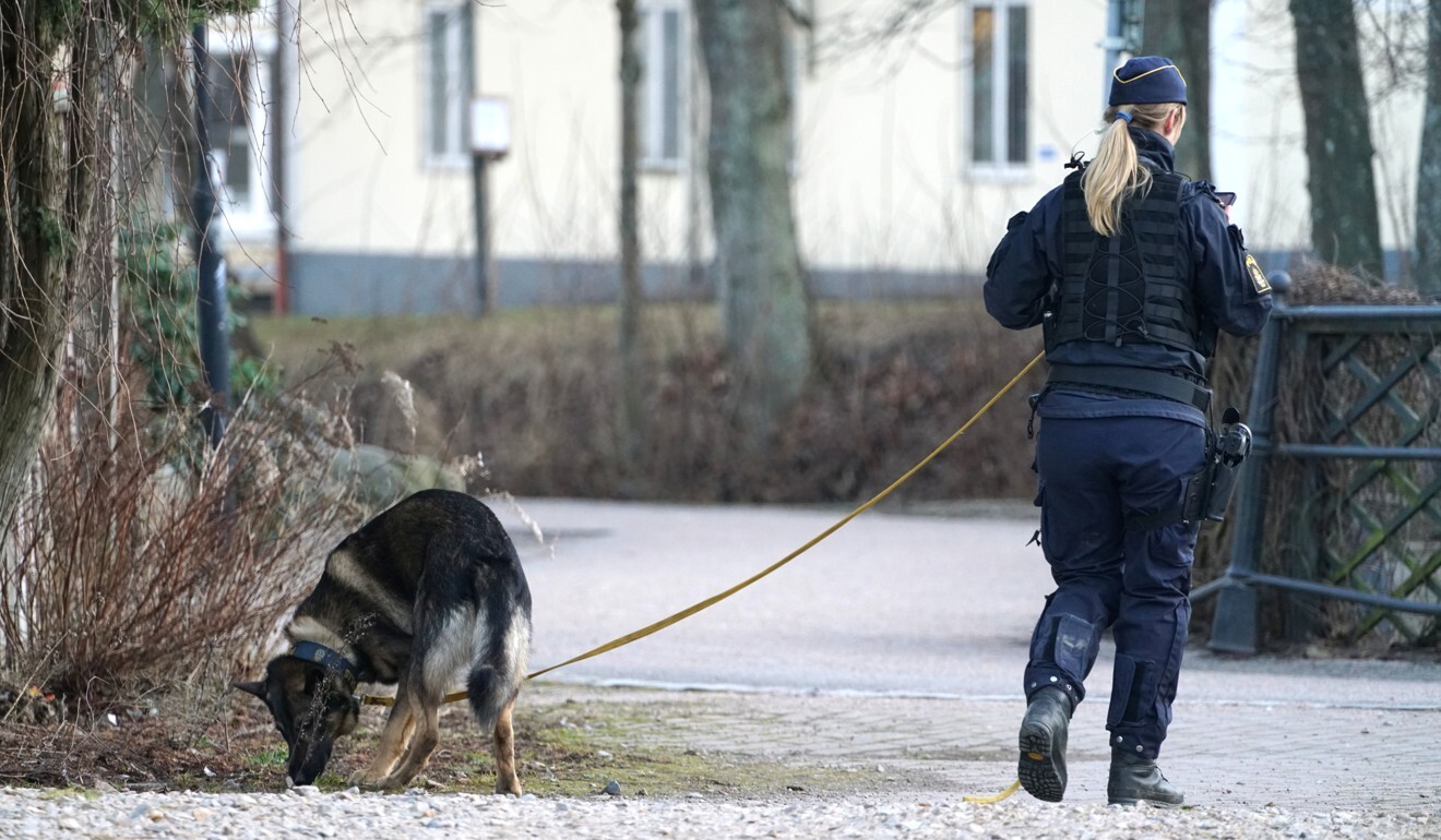 Фото прохожих в Швеции. Террористы в Швеции и Финляндии.