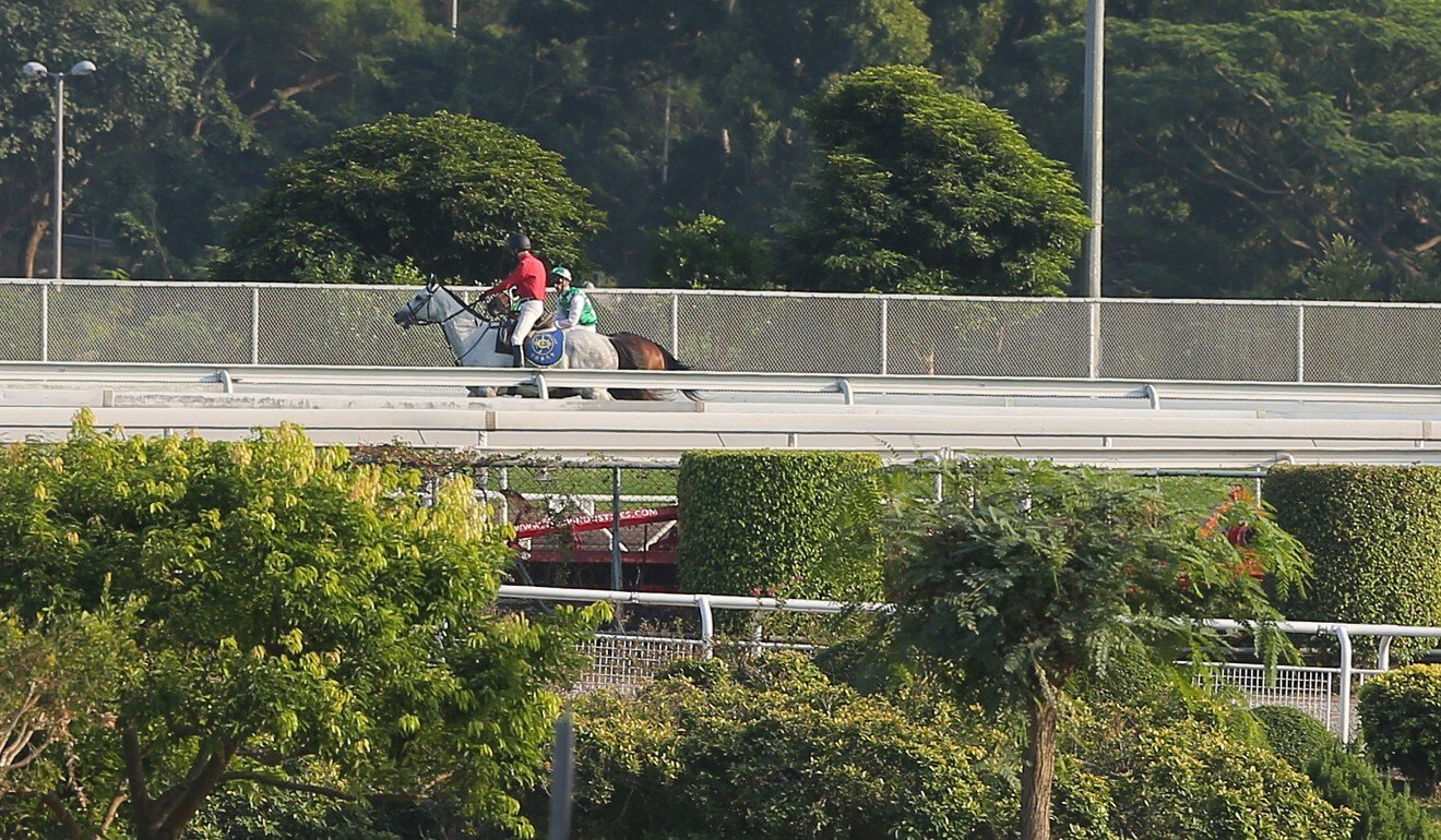 Pakistan Star stops during the Group Two Jockey Club Sprint in what was his last Hong Kong start. Pakistan Star stops during the Group Two Jockey Club Sprint in what was his last Hong Kong start.