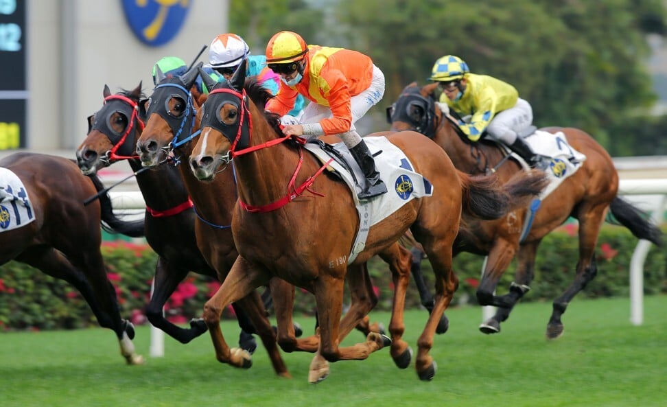 Flagship Glory looms up at Sha Tin on Sunday.