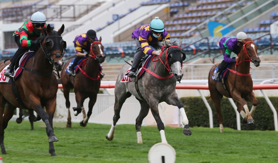 Silver Express trials under Matthew Chadwick at Sha Tin on Tuesday morning.