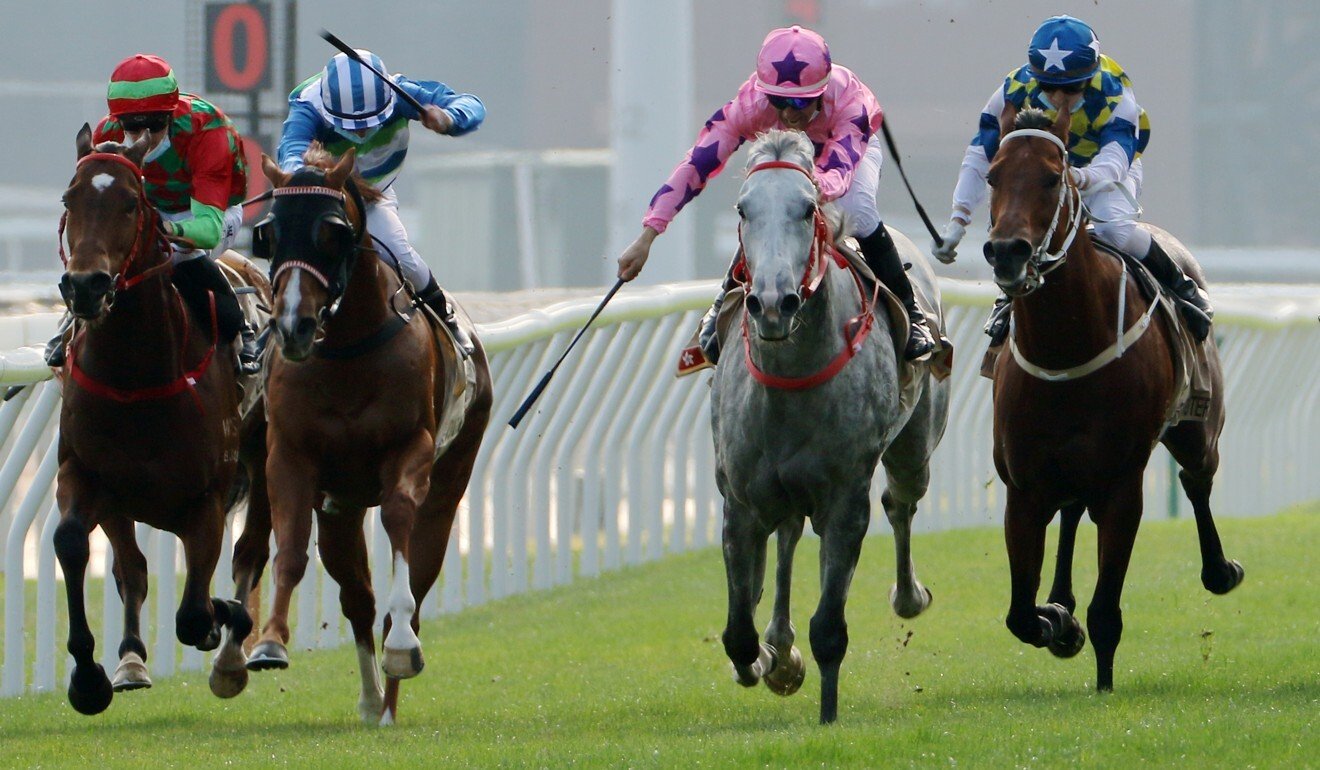 Regency Legend (left) sneaks up the inside to finish second behind Hot King Prawn.