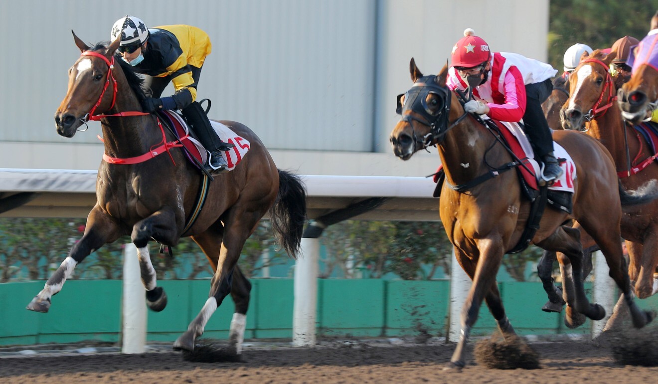 Congratulation (right) competes in a barrier trial at Sha Tin in February.