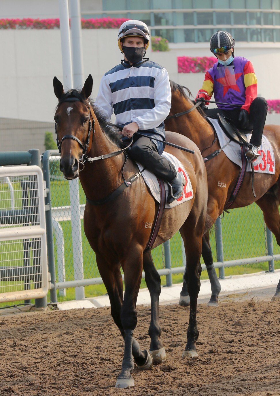 Chad Schofield aboard Panfield at Sha Tin on Friday morning.