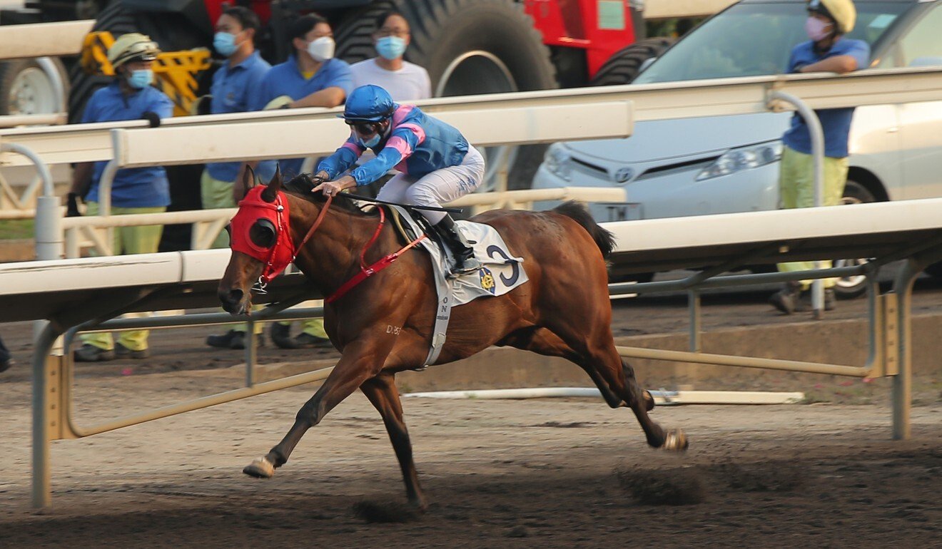 Zac Purton goes for home on Hongkong Great at Sha Tin.