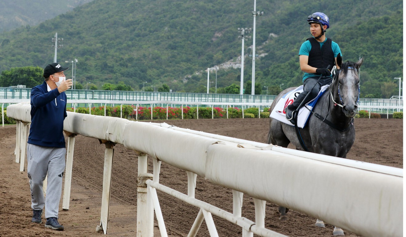 Caspar Fownes looks over Classique Legend in November.