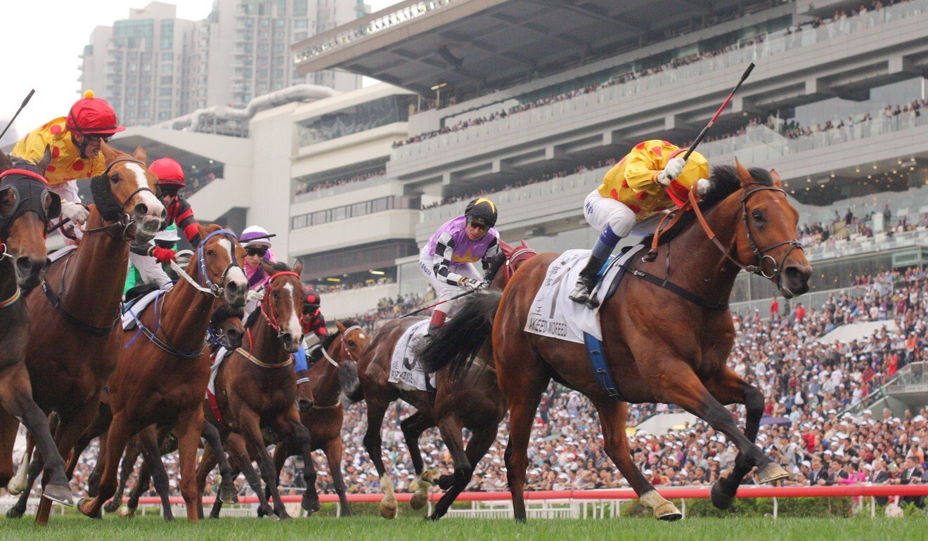 Douglas Whyte wins the 2013 Hong Kong Derby aboard Akeed Mofeed.