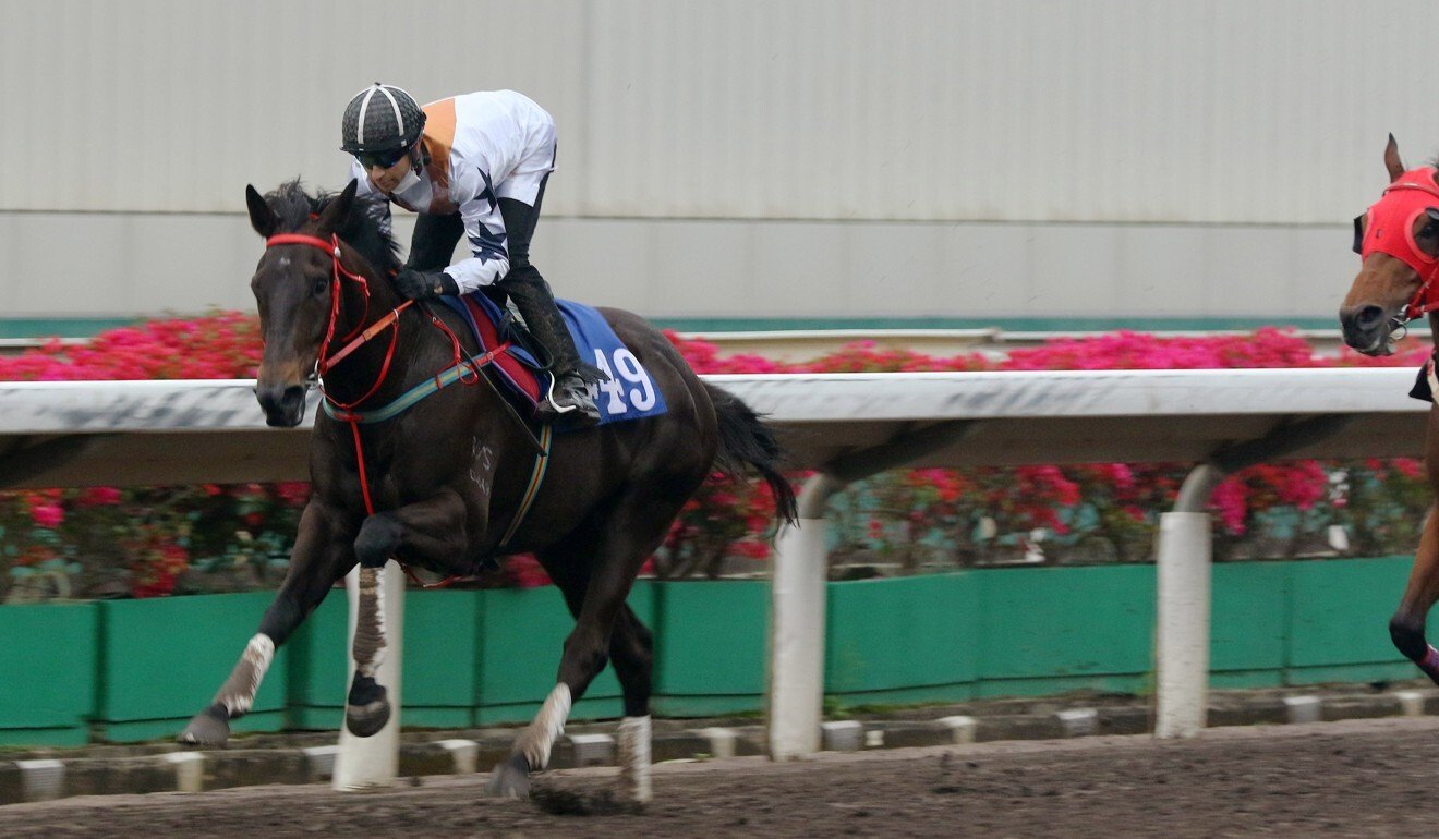 Courier Wonder trials at Sha Tin.