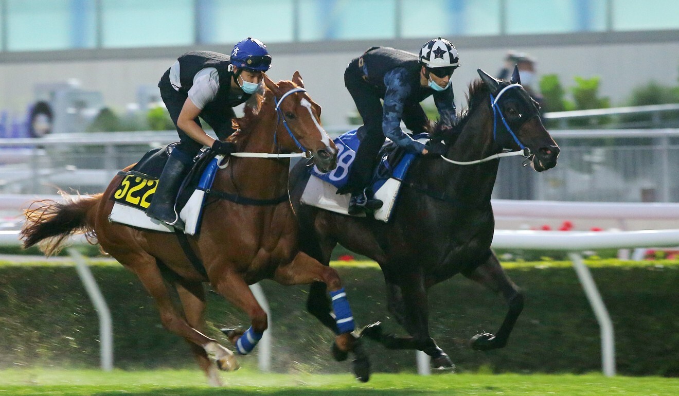 Sky Darci (outside) works on the turf at Sha Tin on Thursday morning.