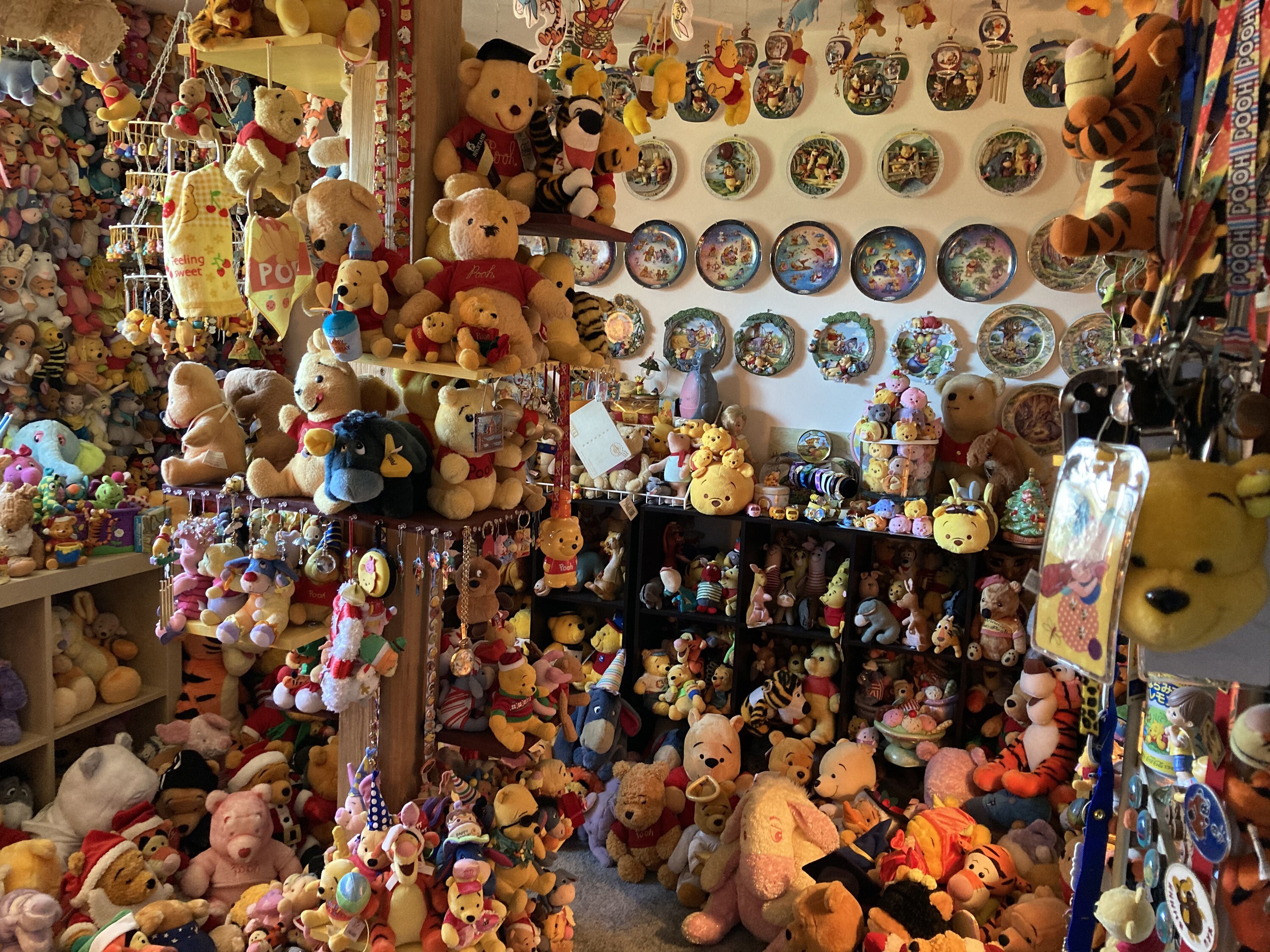 Winnie the Pooh collector on her Guinness World Record 20,000-plus pieces,  from keepsakes to costumes | South China Morning Post