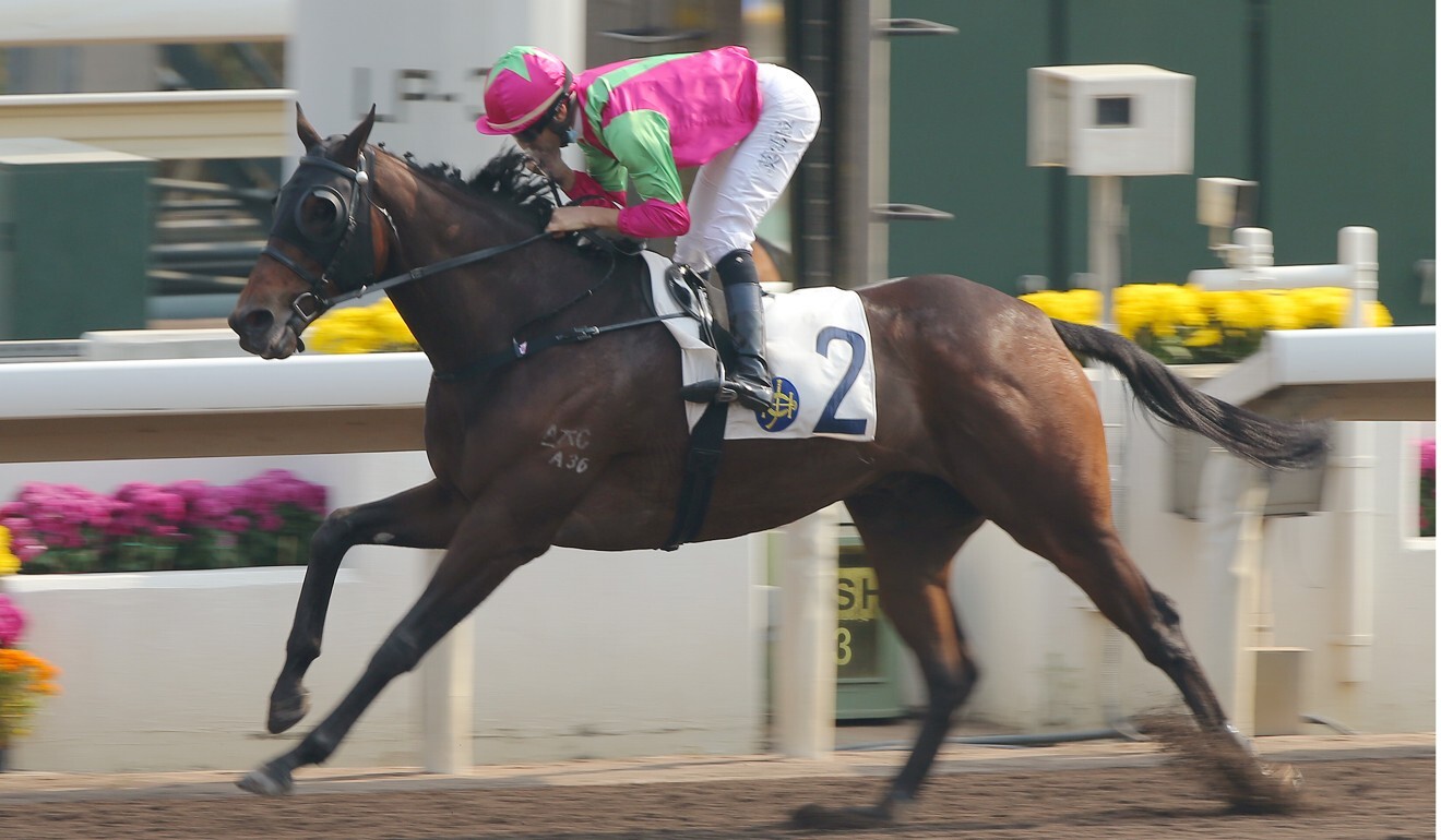 Joao Moreira guides Elusive State to victory in January.