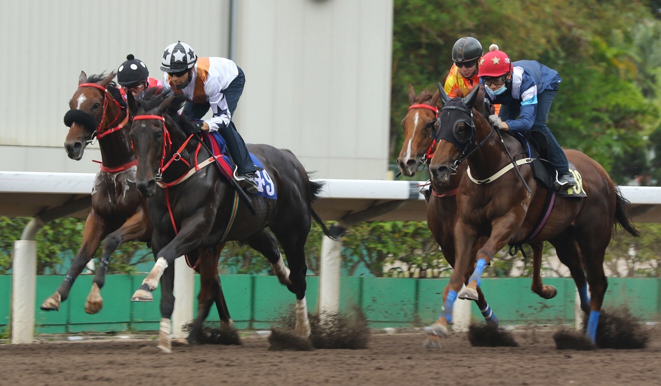 Courier Wonder (second from left) salutes in a Sha Tin trial on Friday morning.