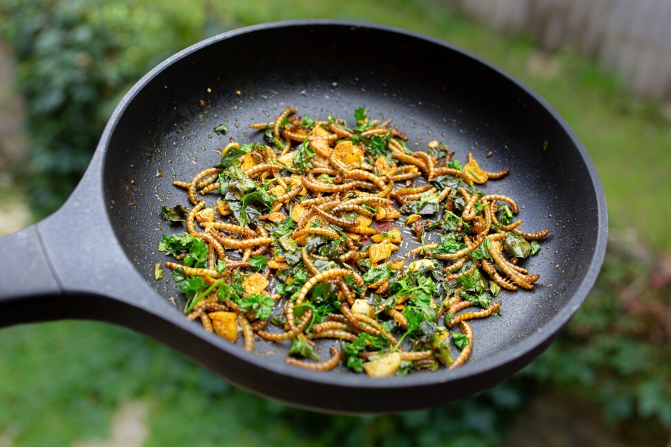 Foods such as insect larvae can be grown intensively in closed, controlled environments. Photo: Shutterstock