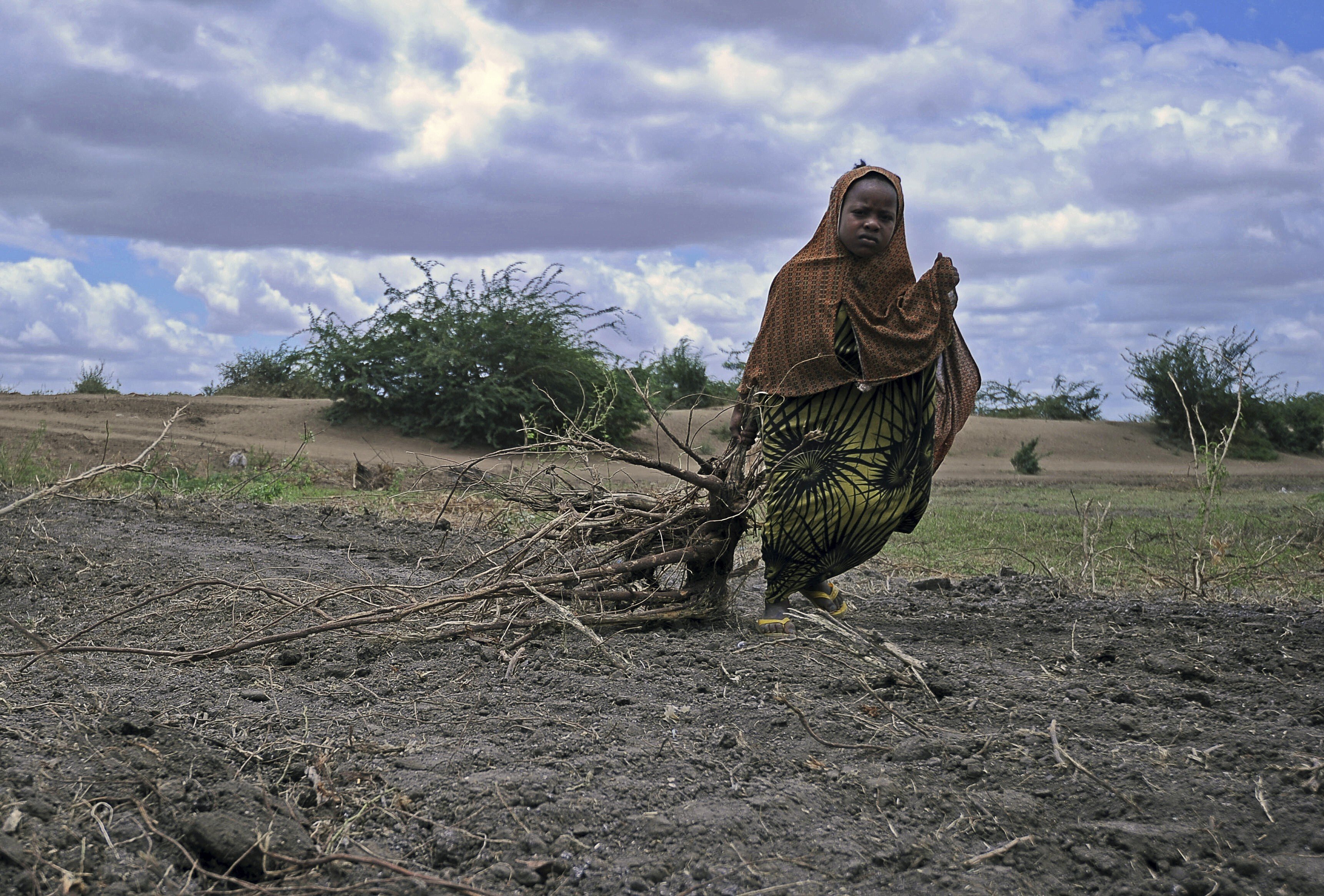 A Somali girl drags bundles of firewood for use as fuel for cooking near Jowhar town, north of the capital Mogadishu, in October, 2015. Clean tech can help reduce the drudgery that disproportionately burdens women, such as collecting water or fuel. Photo: AFP